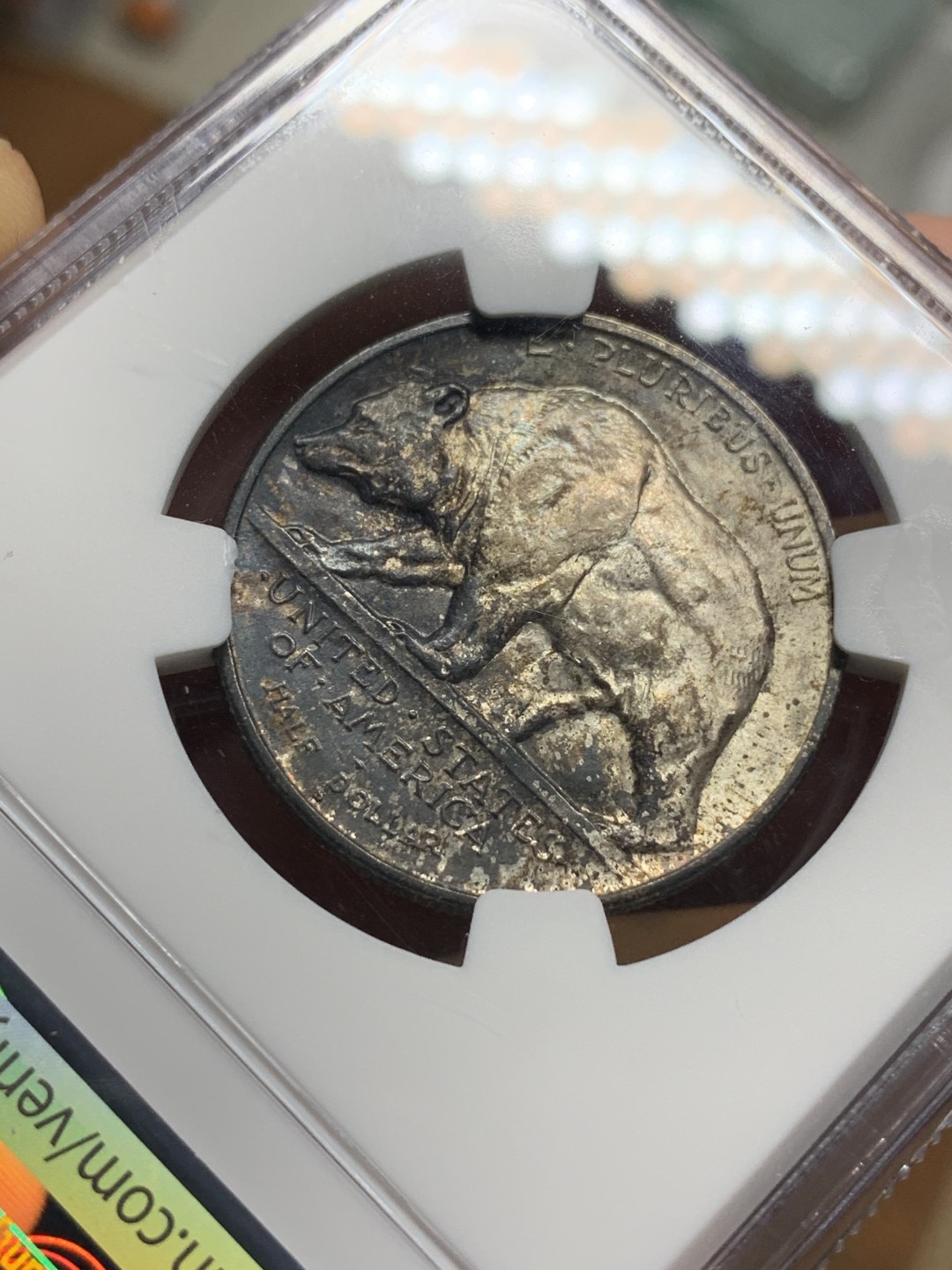 《竞宝斋》第115场-周日，周一 ，2场连拍（全场包邮） NGC-MS62 美国 1925年 加州淘金热 半美元纪念银币 少见品种 浓郁包浆