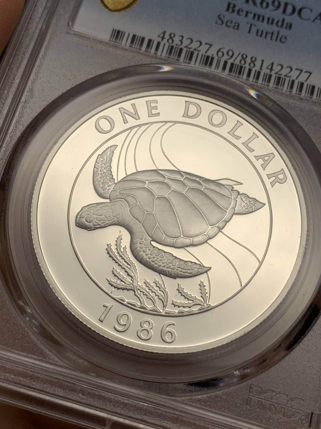 《竞宝斋》第115场-周日，周一 ，2场连拍（全场包邮） PCGS金盾 PR69DCAM 百慕大1986年1克朗海龟精制大银币