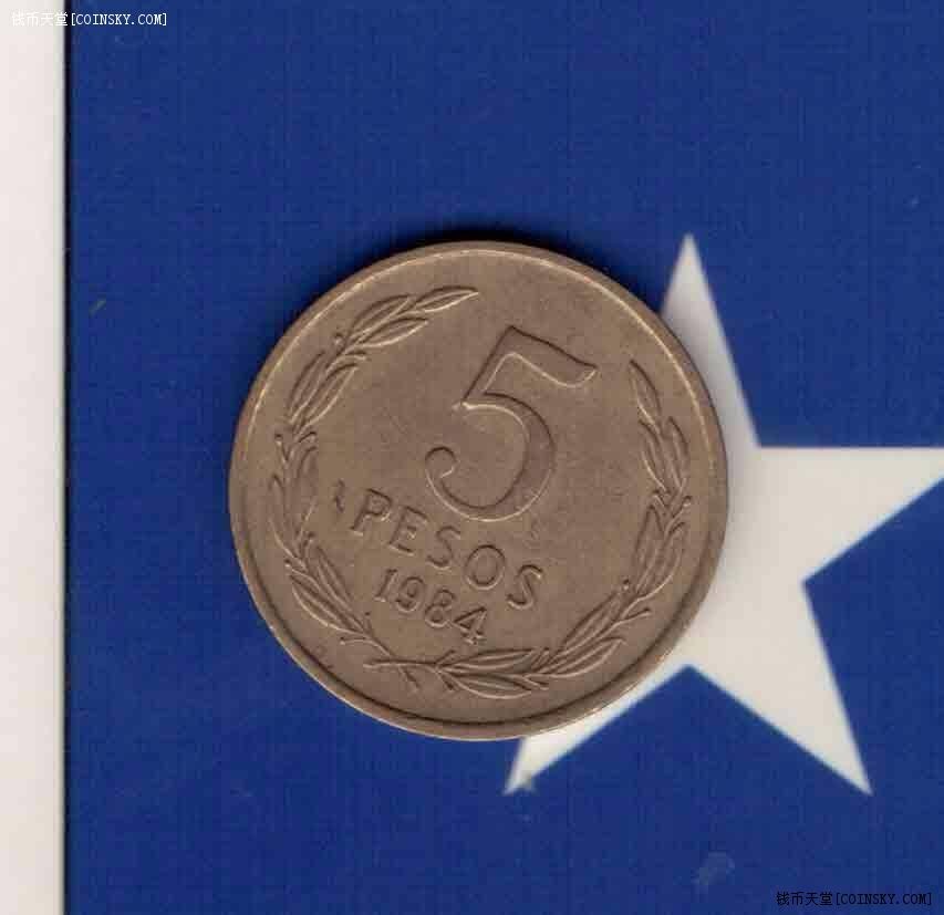 智利1984年5比索 纪念币 美洲硬币 实物如图 八品上