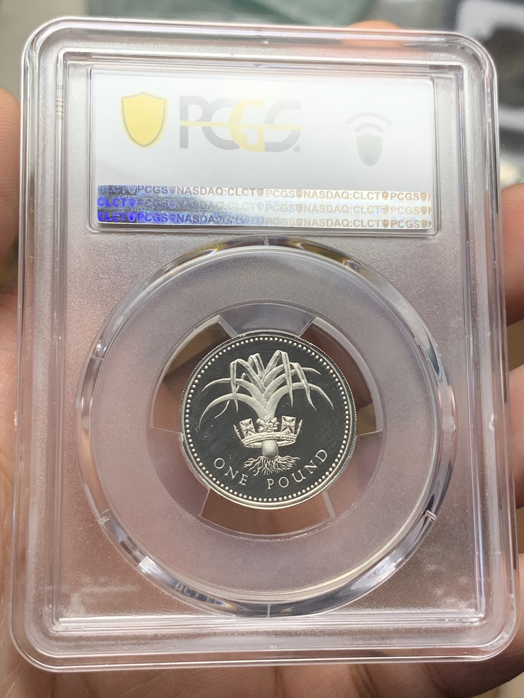 《竞宝斋》第115场-周日，周一 ，2场连拍（全场包邮） PCGS PR68DCAM 1985年英国精制1磅银币 威尔士背