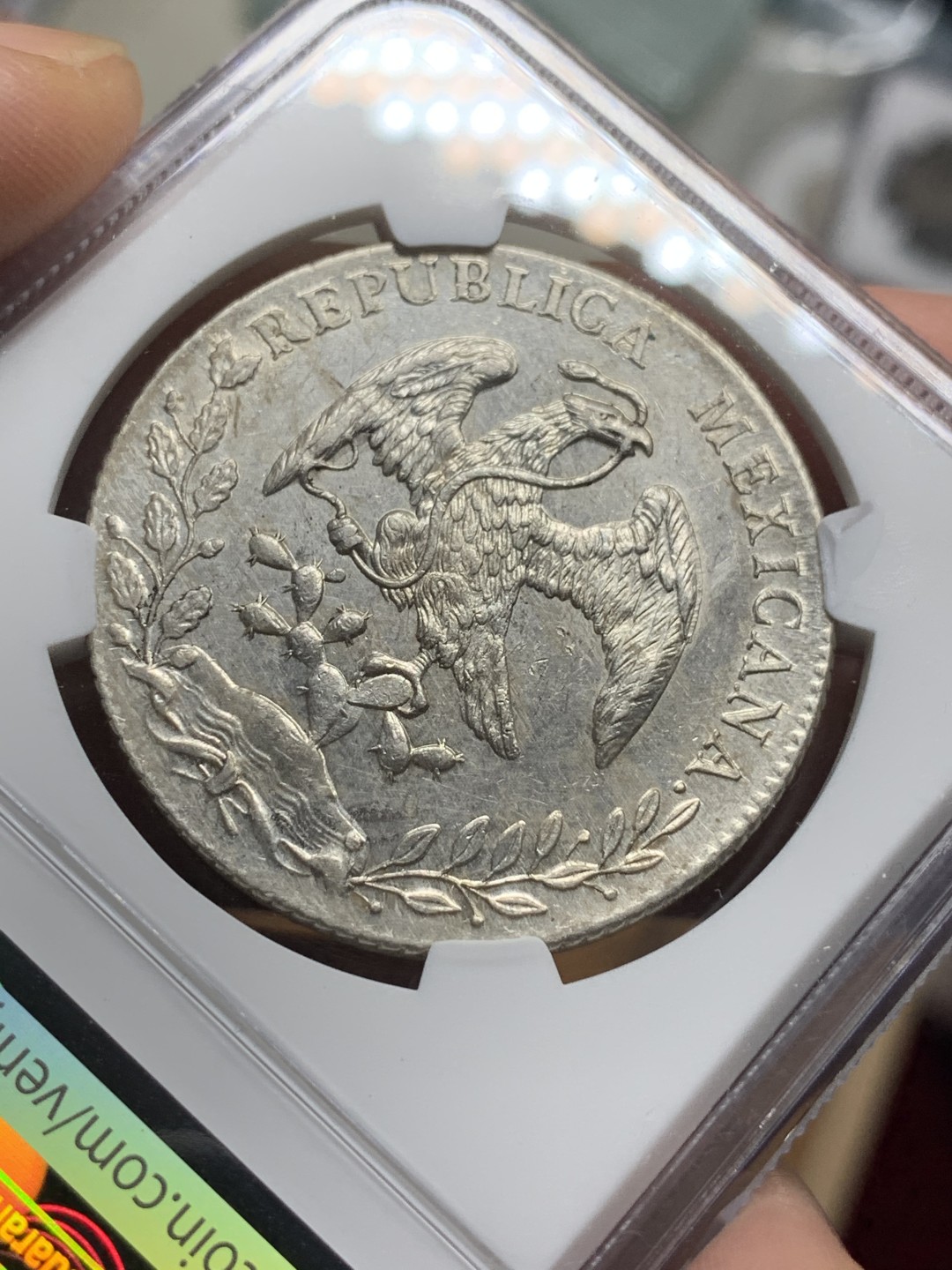 《竞宝斋》第115场-周日，周一 ，2场连拍（全场包邮） NGC UNC 墨西哥 1894年 8R 花边鹰洋 银币 打制压力十足 细节好 全羽不错