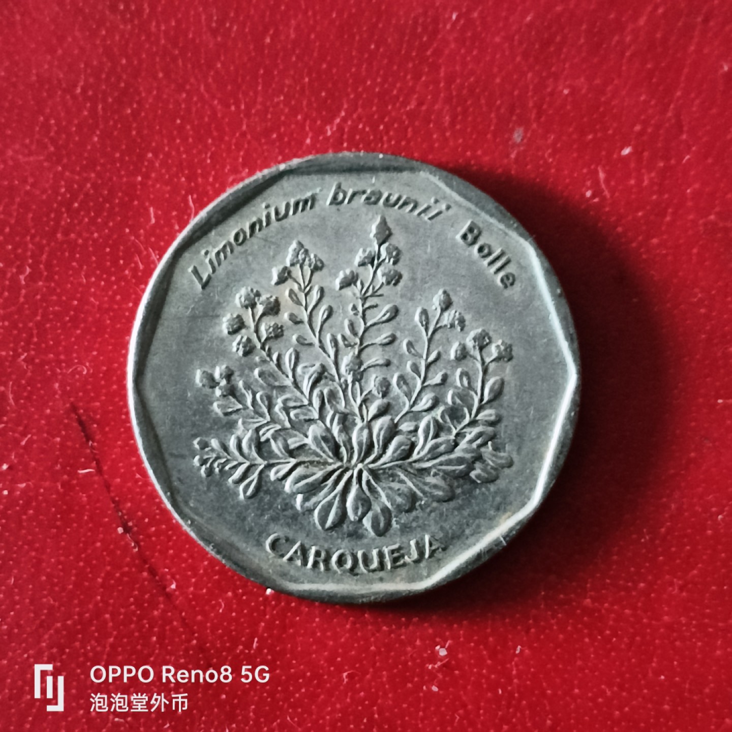 泡泡堂微拍第二十九幕精品硬币捡漏专场👿👿，零佣金，零押金，累计满二十元包邮 佛得角20 埃斯库多。