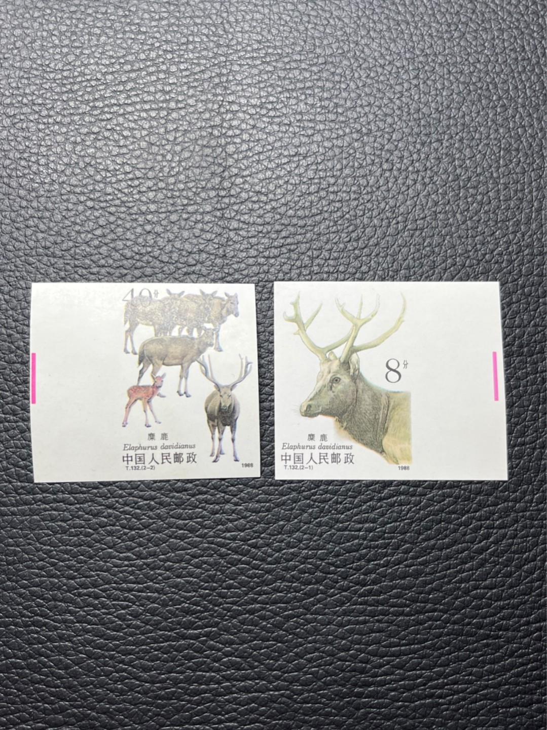 洪涛臻品批发群  精选邮票限时拍卖第八十四期 T132无齿麋鹿新全    色线一组，上品，肉眼小瑕疵，紫光灯下微微瑕疵。精品版货  精工细裁 ，全程带硅胶手套操作，喜欢的老板不要错过