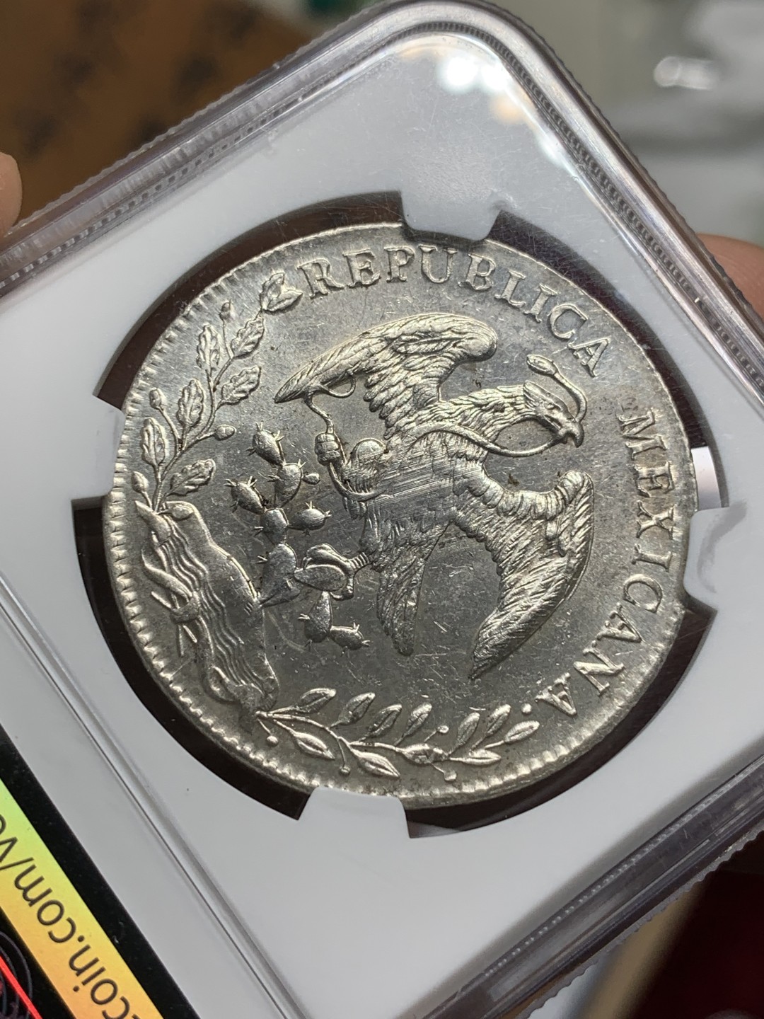 《竞宝斋》第116场-周日，周一 ，2场连拍（全场包邮） NGC UNC 墨西哥 1891年 8R 花边鹰洋 银币 打制压力十足 细节好 全羽不错 光度极好