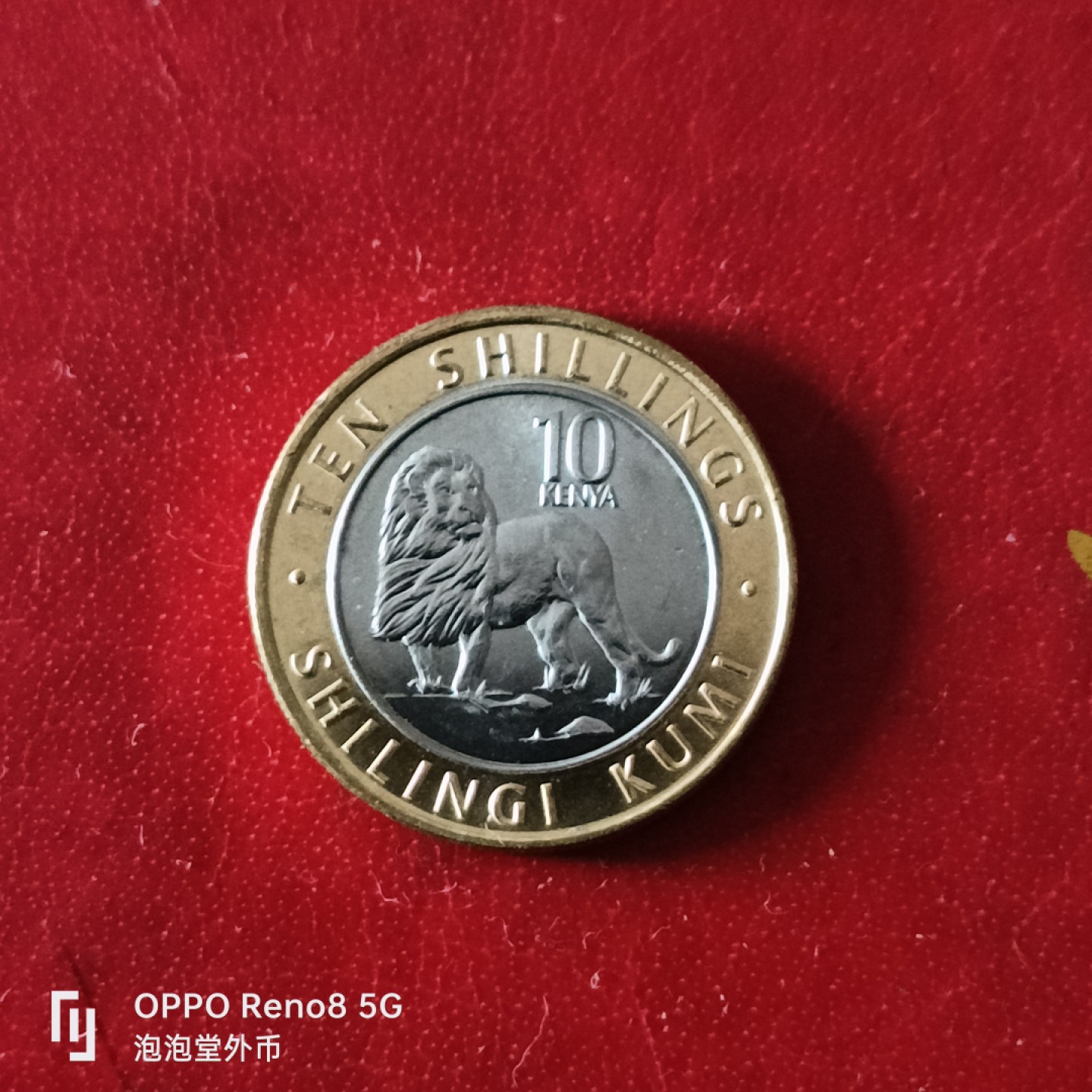 泡泡堂微拍第二十九幕精品硬币捡漏专场👿👿，零佣金，零押金，累计满二十元包邮 全新肯尼亚狮子双色币