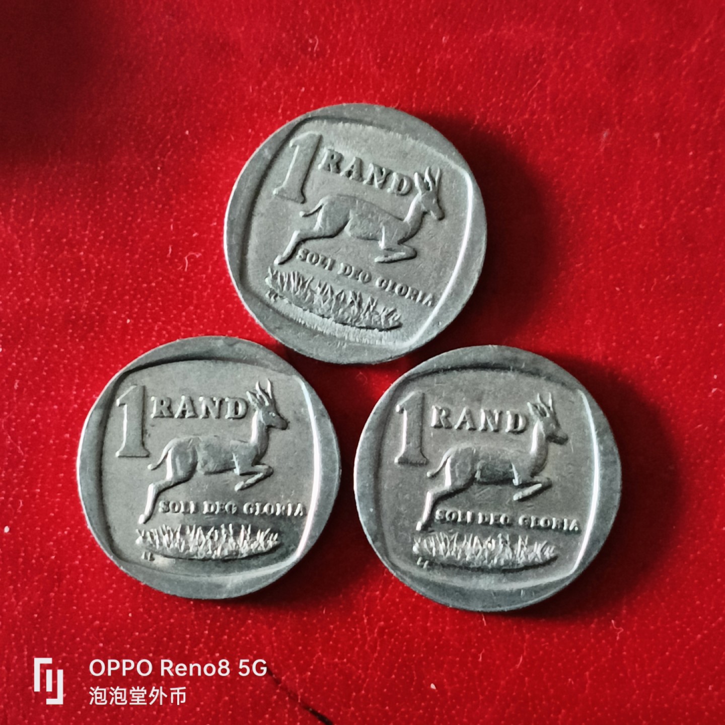 泡泡堂微拍第二十九幕精品硬币捡漏专场👿👿，零佣金，零押金，累计满二十元包邮 南非一兰特三种版。