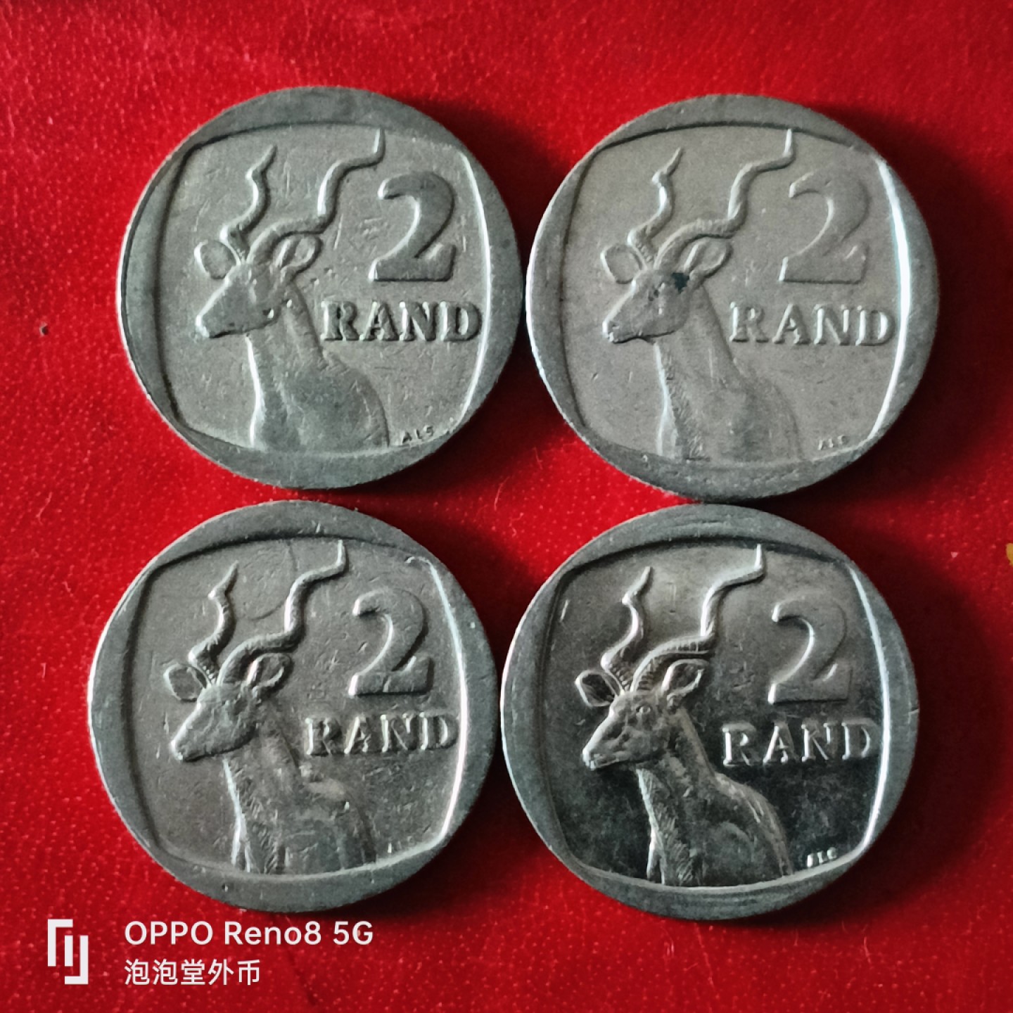 泡泡堂微拍第二十九幕精品硬币捡漏专场👿👿，零佣金，零押金，累计满二十元包邮 南非2兰特四种版。