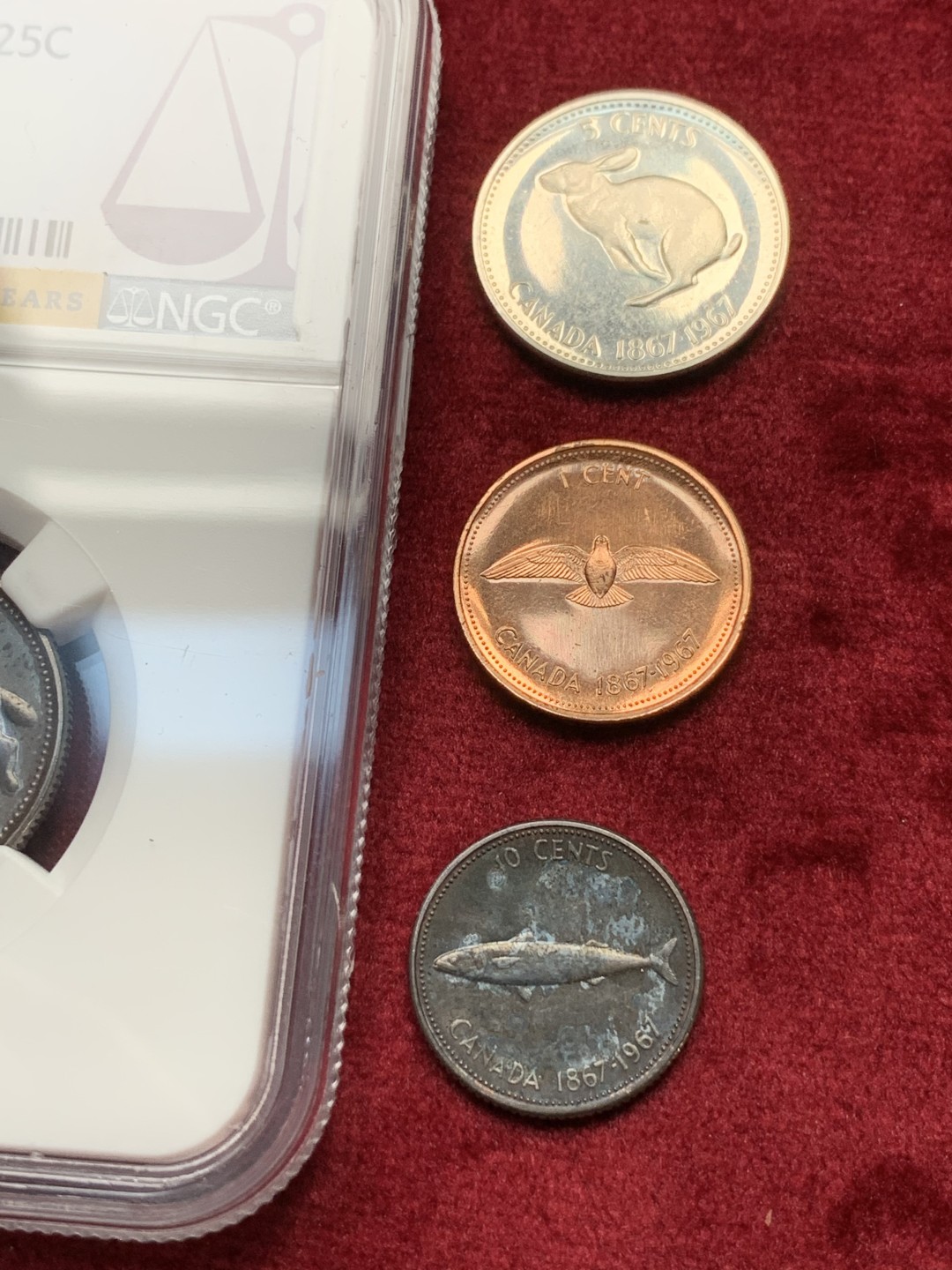 《竞宝斋》第116场-周日，周一 ，2场连拍（全场包邮） 5枚一组 NGC-MS63 2枚 加拿大 1967年伊丽莎白二世联邦成立百年纪念币NGC35周年标50分、25分银币+10分银币、5分镍币、1分铜币三枚同盒裸币，绒布盒深五彩包浆分黑美人