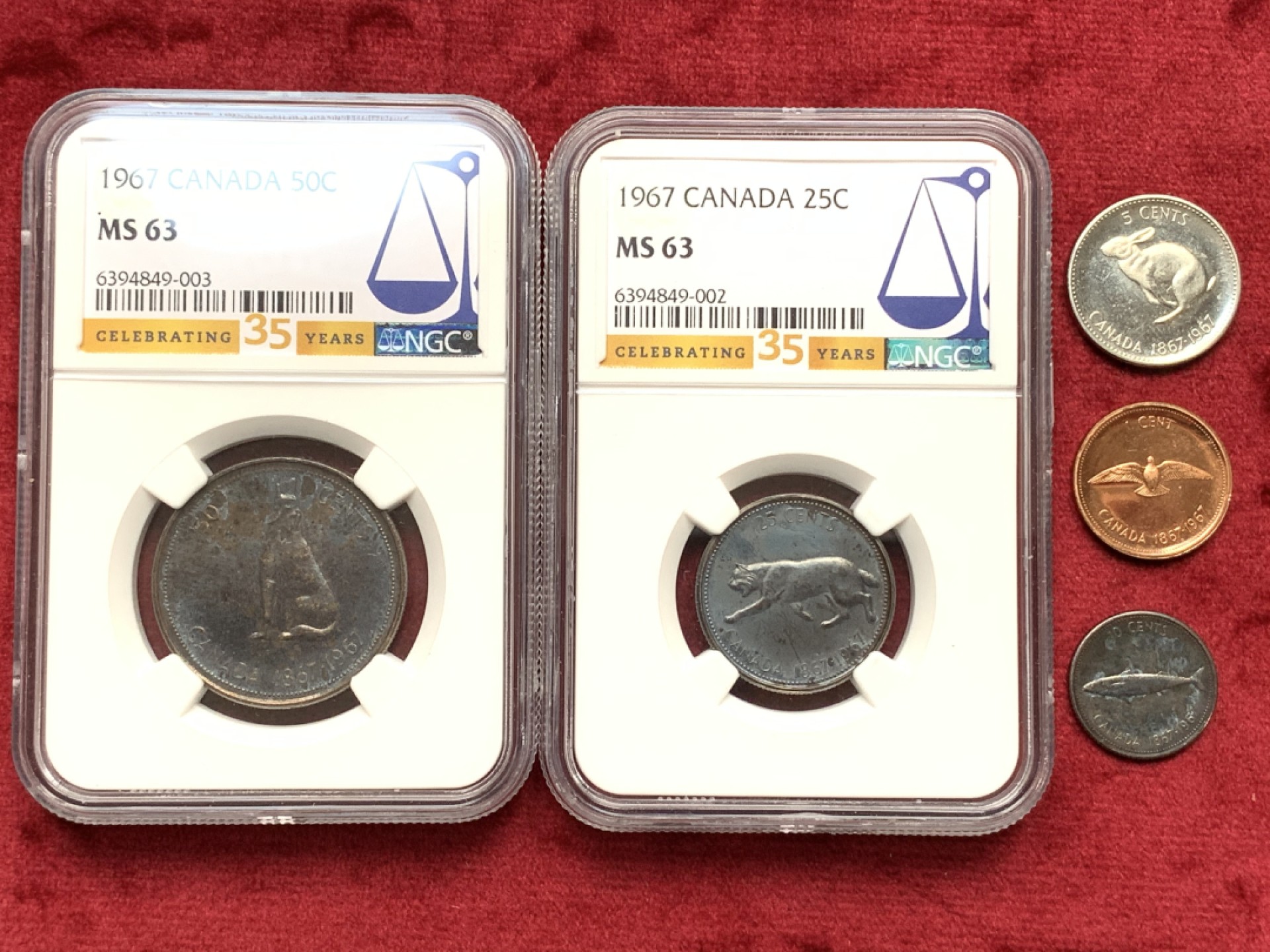 《竞宝斋》第116场-周日，周一 ，2场连拍（全场包邮） 5枚一组 NGC-MS63 2枚 加拿大 1967年伊丽莎白二世联邦成立百年纪念币NGC35周年标50分、25分银币+10分银币、5分镍币、1分铜币三枚同盒裸币，绒布盒深五彩包浆分黑美人