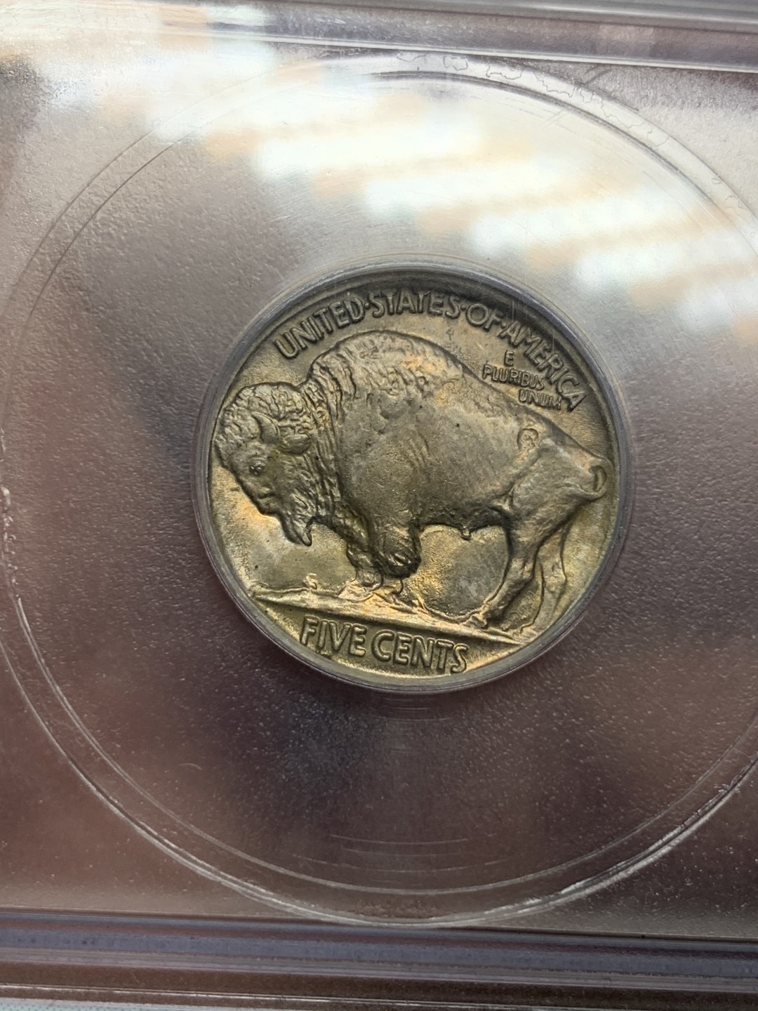 《竞宝斋》第116场-周日，周一 ，2场连拍（全场包邮） ICG MS64+ 美国 1913年 印第安野牛 5分 早期品种 难得早期