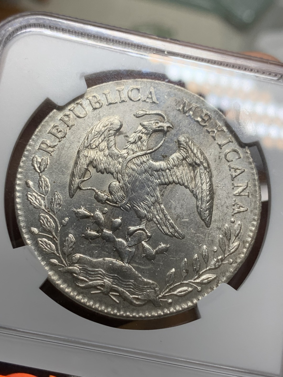 《竞宝斋》第116场-周日，周一 ，2场连拍（全场包邮） NGC UNC 墨西哥 1891年 8R 花边鹰洋 银币 打制压力十足 细节好 全羽不错 光度极好