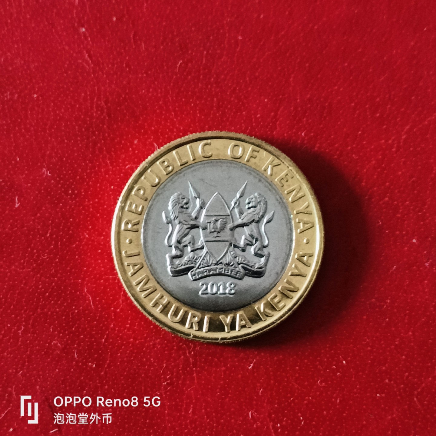 泡泡堂微拍第二十九幕精品硬币捡漏专场👿👿，零佣金，零押金，累计满二十元包邮 全新肯尼亚狮子双色币