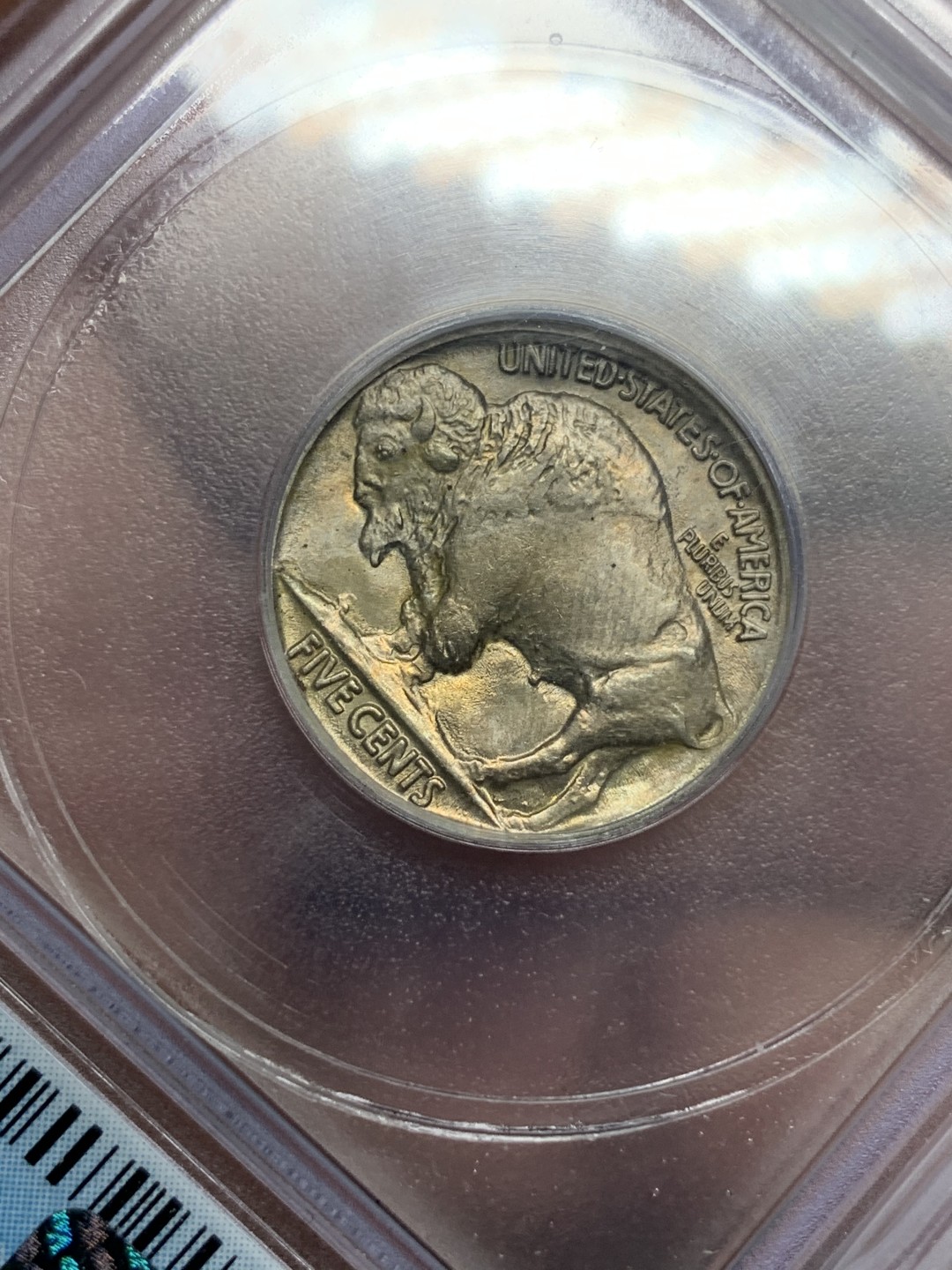 《竞宝斋》第116场-周日，周一 ，2场连拍（全场包邮） ICG MS64+ 美国 1913年 印第安野牛 5分 早期品种 难得早期