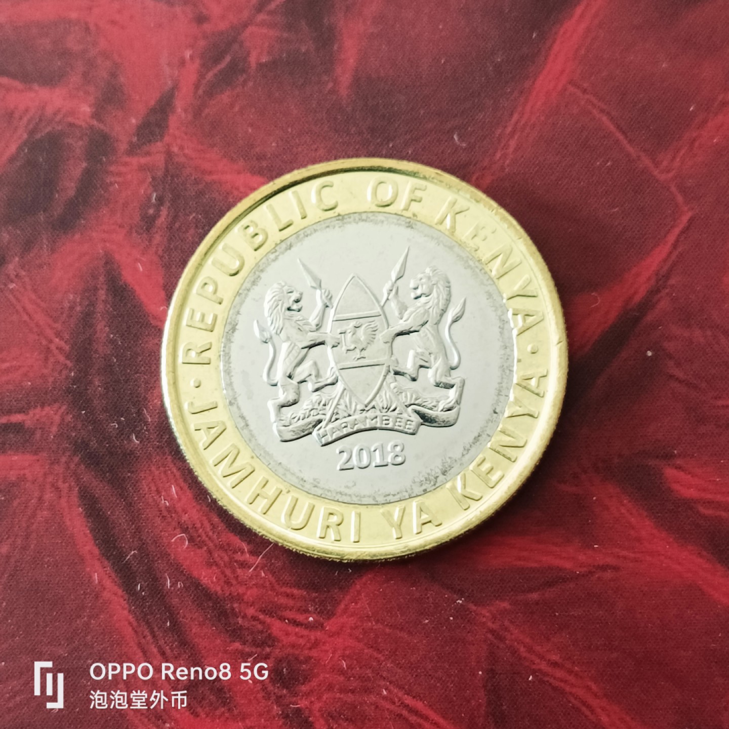 泡泡堂微拍第三十幕精品硬币捡漏专场👿👿，零佣金，零押金，累计满二十元包邮 肯尼亚狮子十先令。