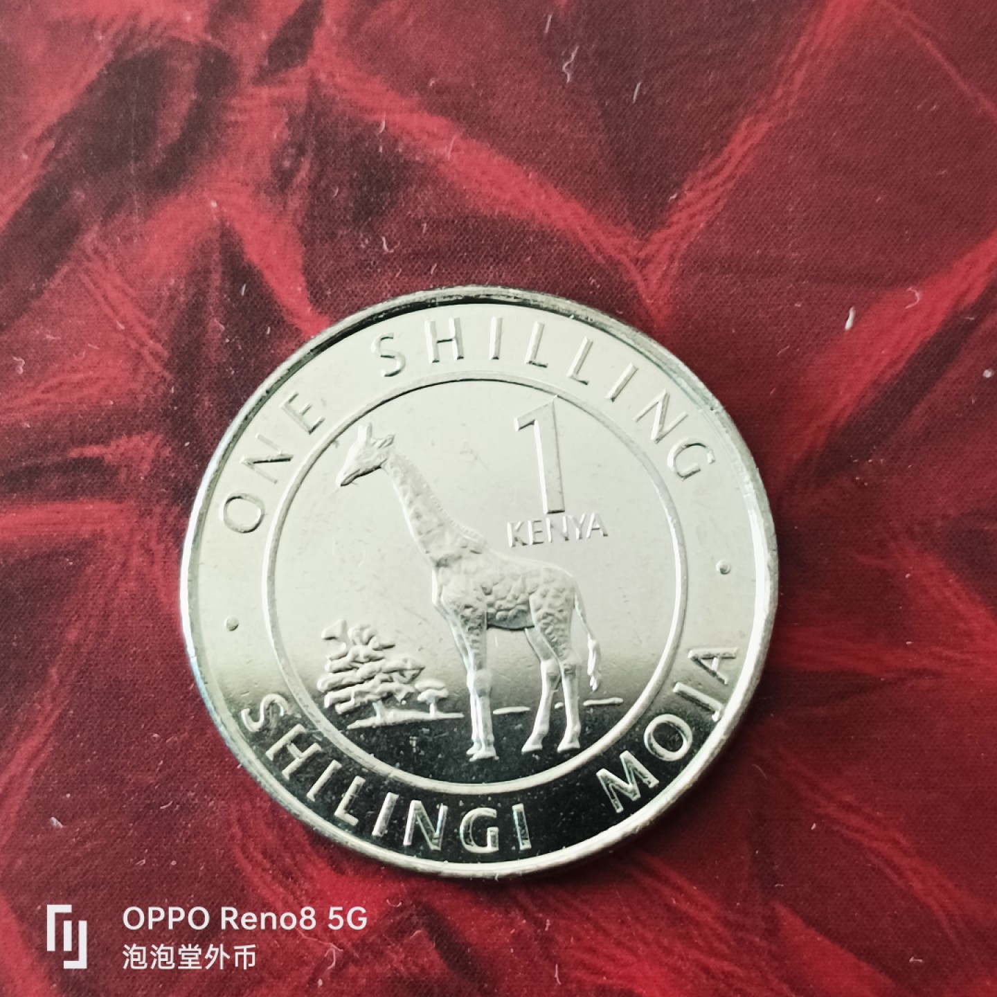 泡泡堂微拍第三十幕精品硬币捡漏专场👿👿，零佣金，零押金，累计满二十元包邮 肯尼亚长颈鹿