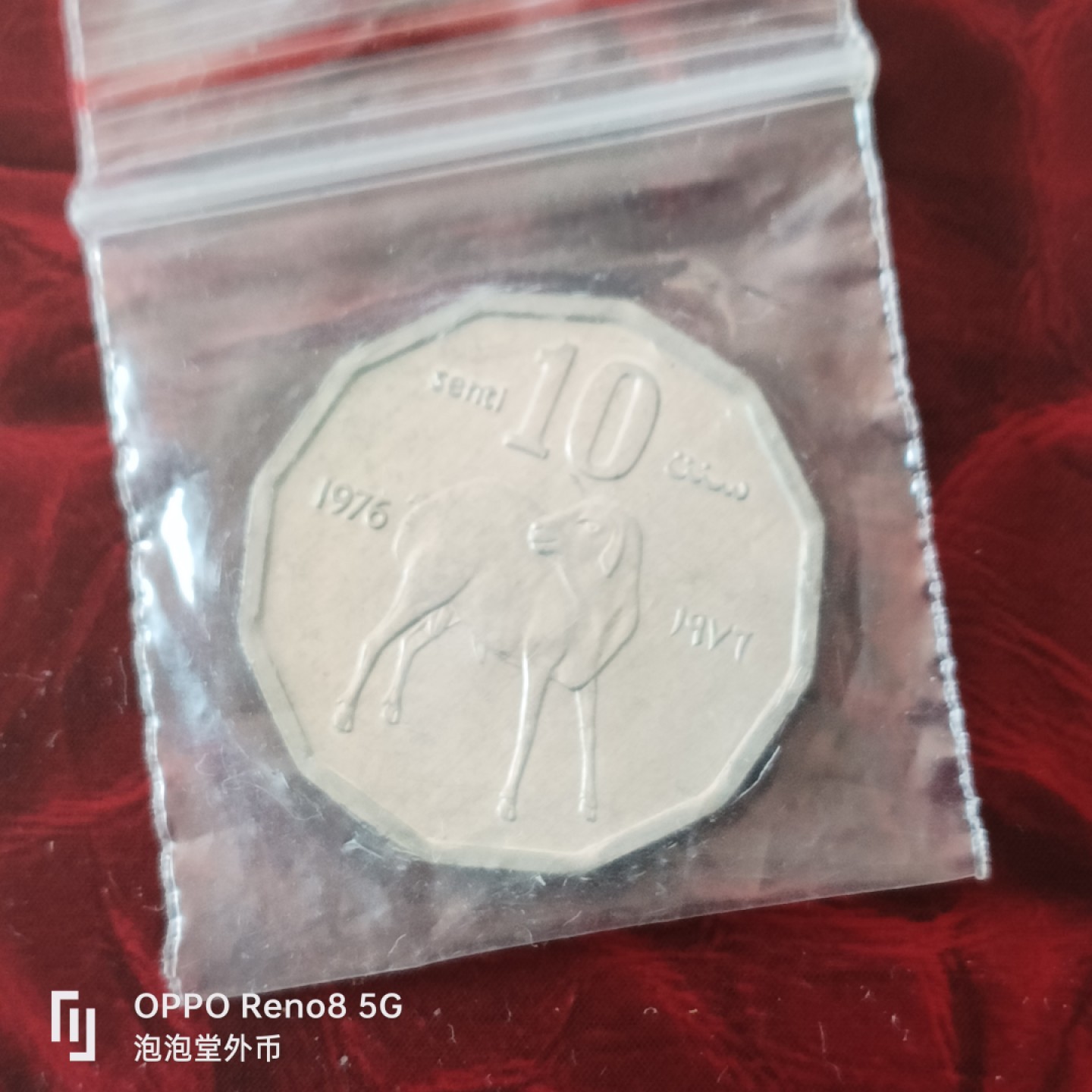 泡泡堂微拍第三十幕精品硬币捡漏专场👿👿，零佣金，零押金，累计满二十元包邮 索马里七六年粮农。