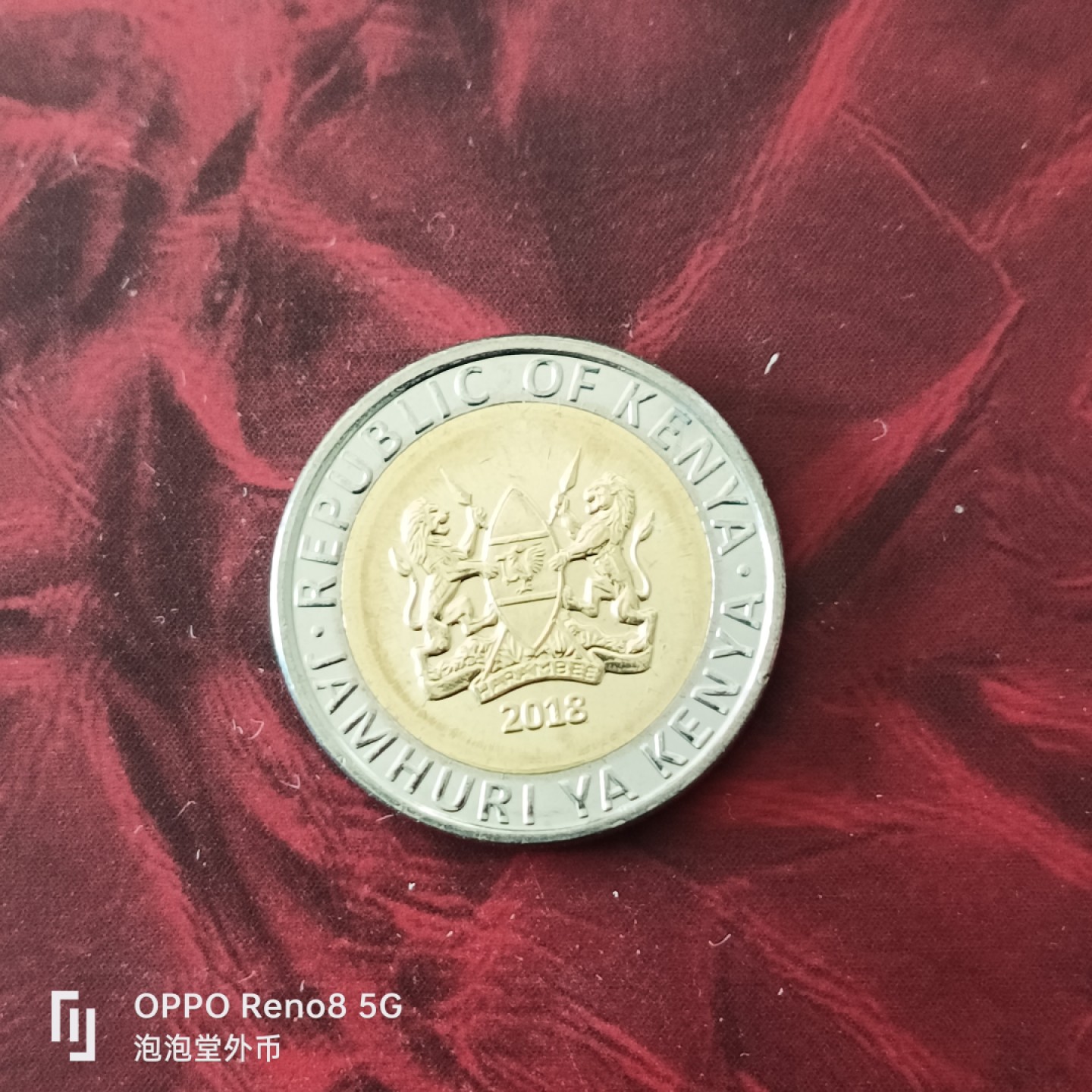 泡泡堂微拍第三十幕精品硬币捡漏专场👿👿，零佣金，零押金，累计满二十元包邮 肯尼亚犀牛五先令。