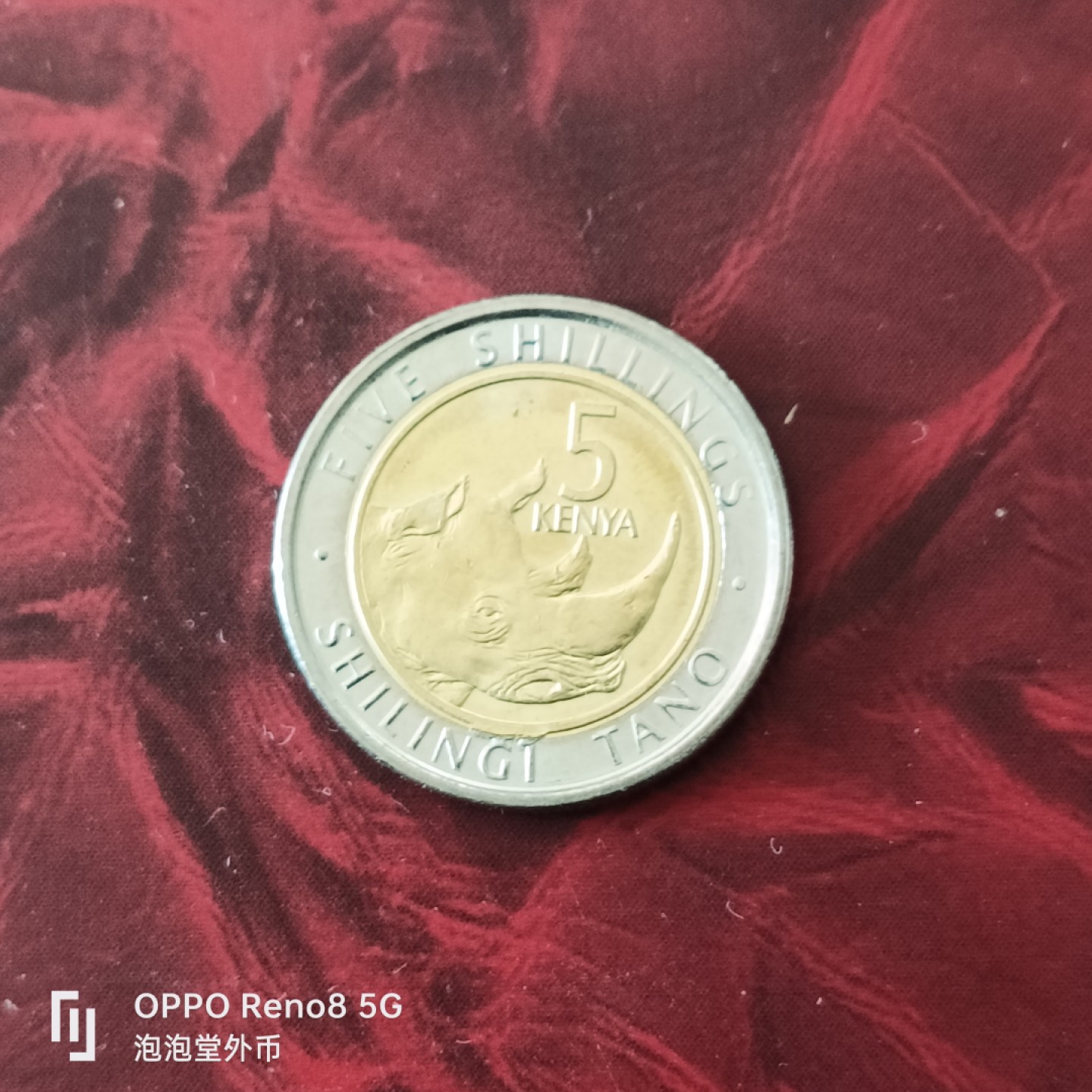 泡泡堂微拍第三十幕精品硬币捡漏专场👿👿，零佣金，零押金，累计满二十元包邮 肯尼亚犀牛五先令。