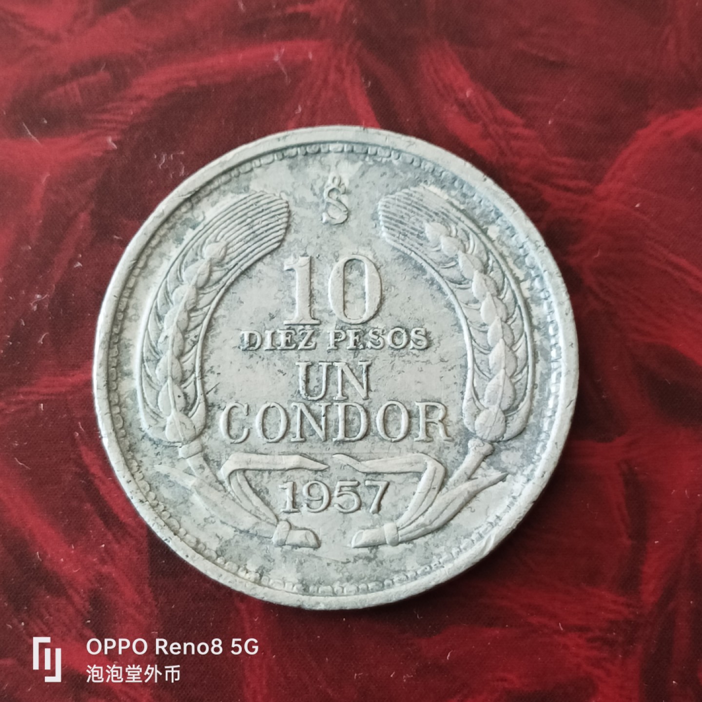 泡泡堂微拍第三十幕精品硬币捡漏专场👿👿，零佣金，零押金，累计满二十元包邮 智利大飞鹰