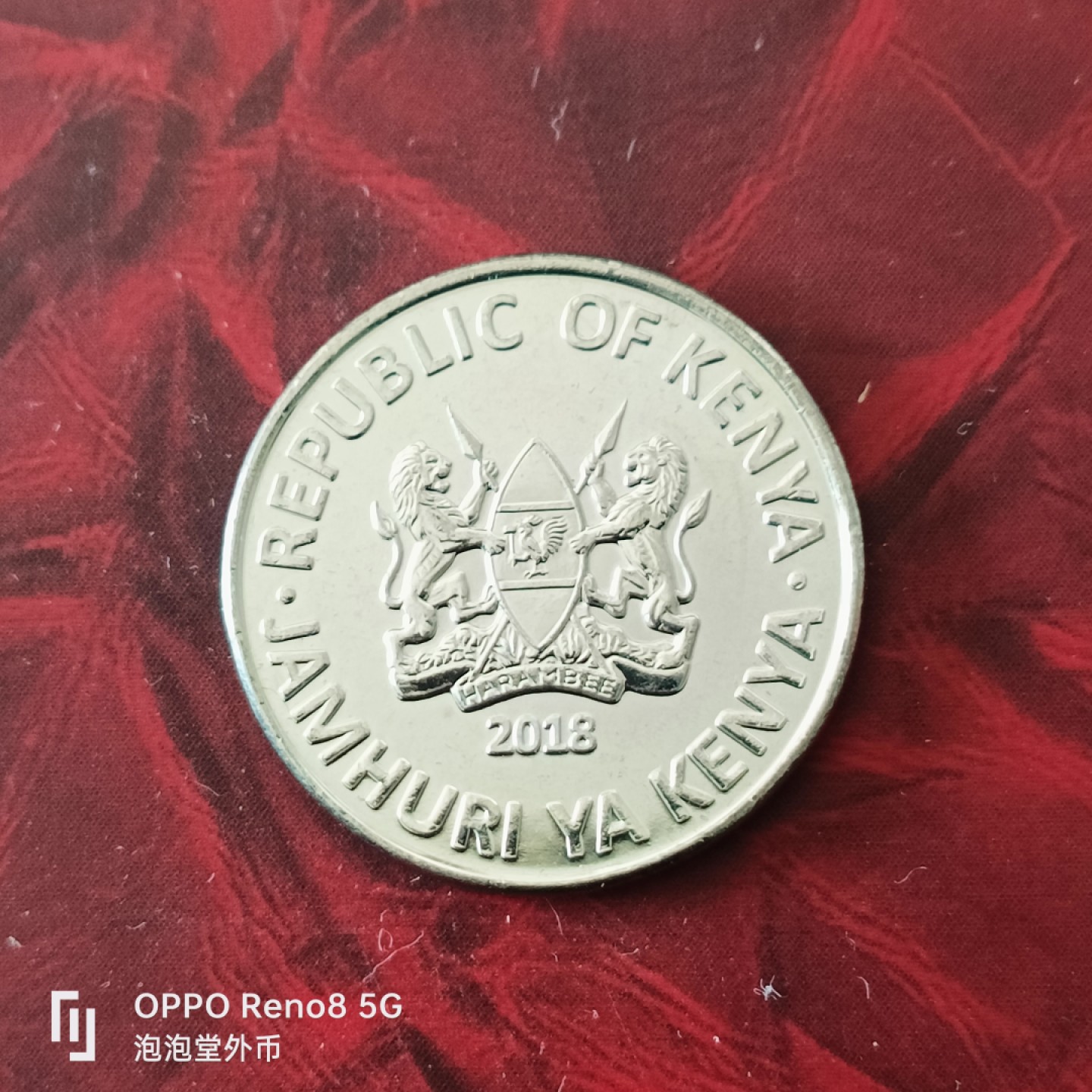 泡泡堂微拍第三十幕精品硬币捡漏专场👿👿，零佣金，零押金，累计满二十元包邮 肯尼亚长颈鹿