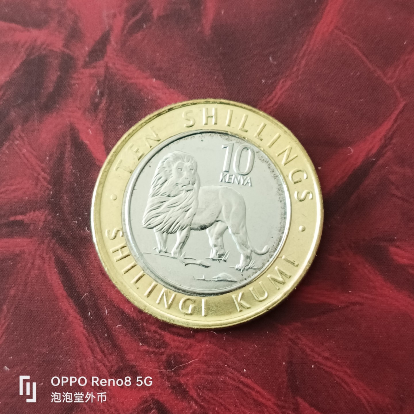 泡泡堂微拍第三十幕精品硬币捡漏专场👿👿，零佣金，零押金，累计满二十元包邮 肯尼亚狮子十先令。