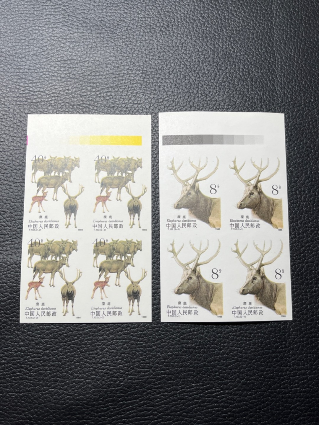 洪涛臻品批发群  精选邮票限时拍卖第八十六期 T132无齿麋鹿新全    色标4方连一组 ，软折如图，上品，紫光灯下有瑕疵。精品版货  精工细裁 ，全程带硅胶手套操作，喜欢的老板不要错过