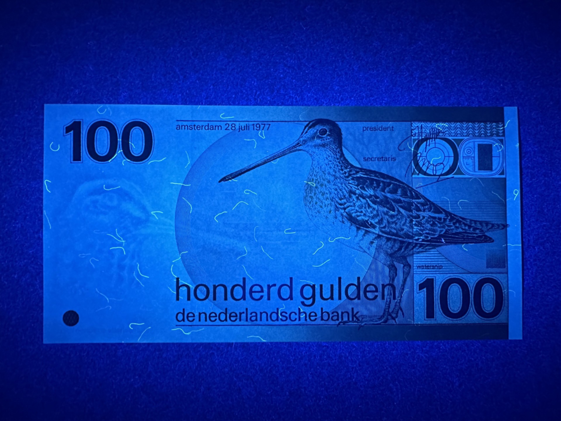 《张总收藏》80期——外币大拍 荷兰100盾 UNC 水鸟版
