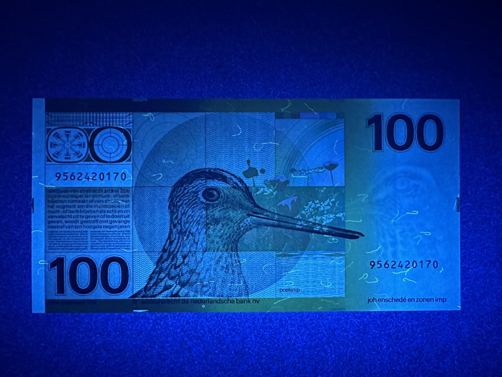 《张总收藏》80期——外币大拍 荷兰100盾 UNC 水鸟版