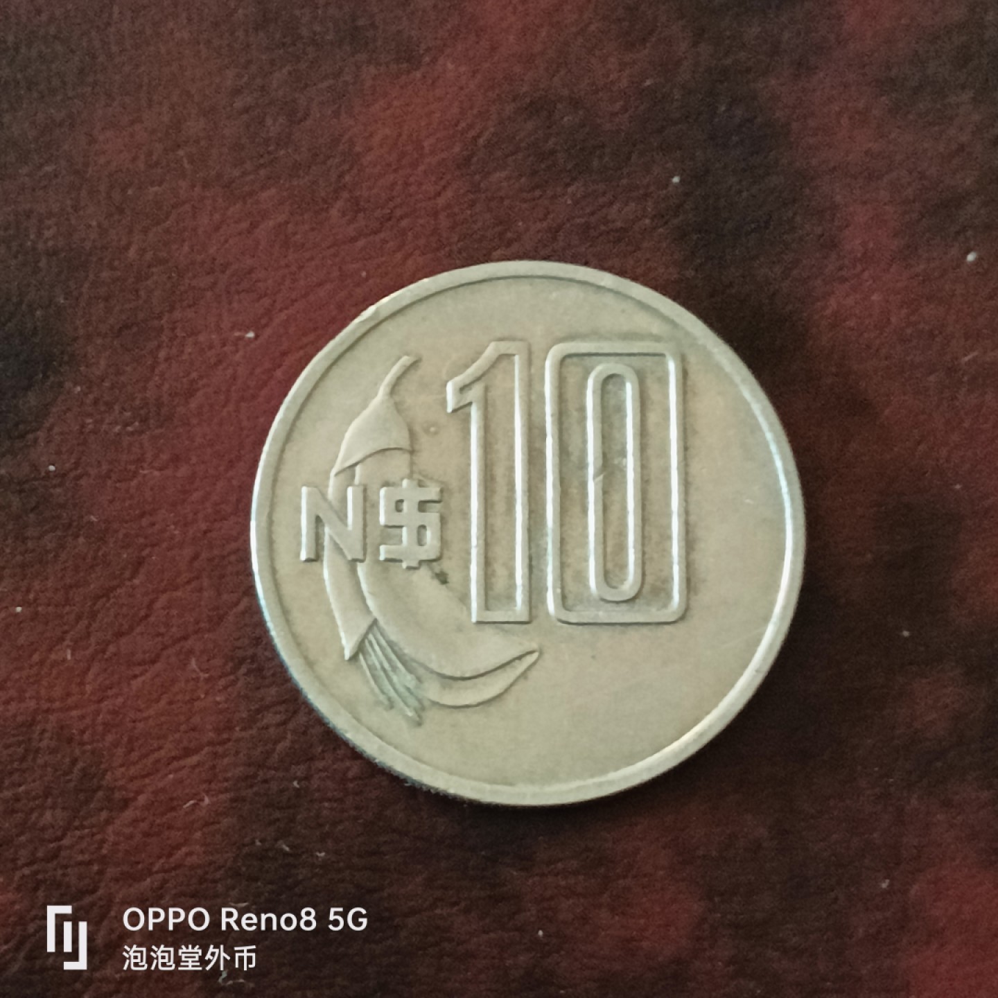 泡泡堂微拍第三十一幕精品硬币捡漏专场👿👿，零佣金，零押金，累计满二十元包邮 乌拉圭81年十刀大币