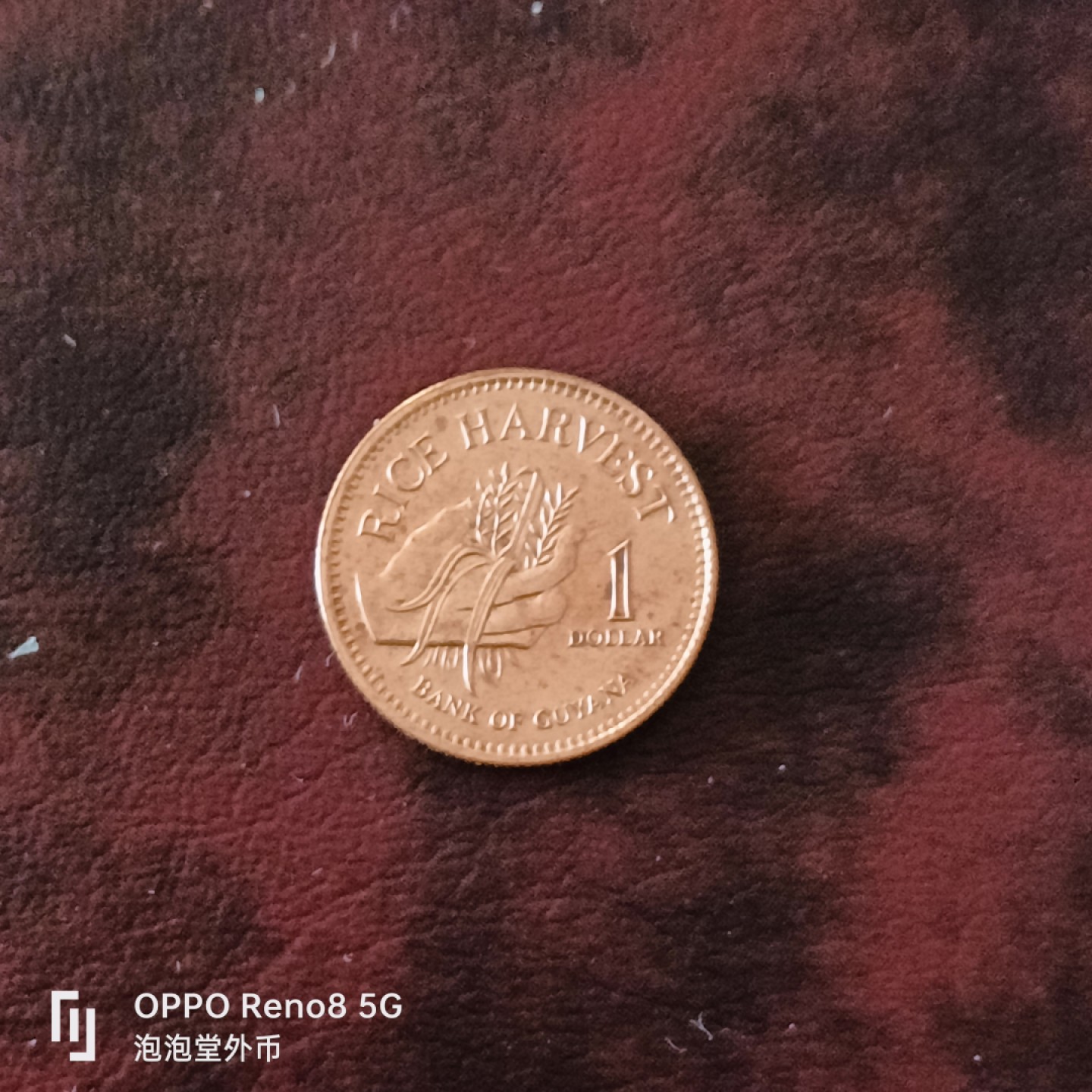 泡泡堂微拍第三十一幕精品硬币捡漏专场👿👿，零佣金，零押金，累计满二十元包邮 圭亚那粮农一分