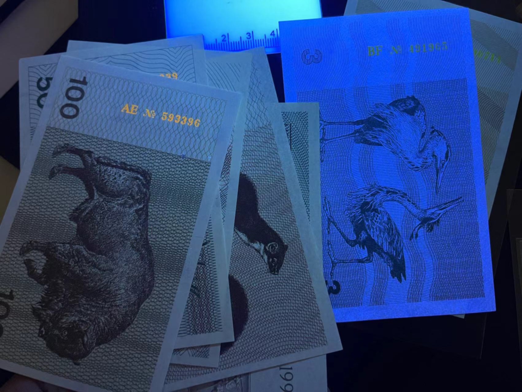 《外钞收藏家》第二百一十八期（波罗的海三国） 立陶宛1991年第一套动物币1/3/5/10/25/50/100塔龙那，全套7枚	P32-38  全新UNC