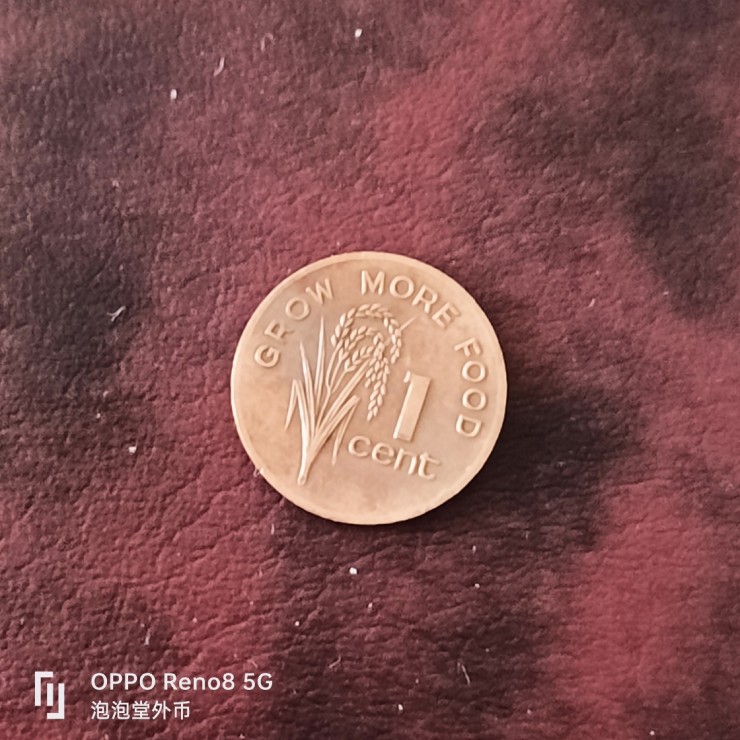 泡泡堂微拍第三十一幕精品硬币捡漏专场👿👿，零佣金，零押金，累计满二十元包邮 斐济粮农一分