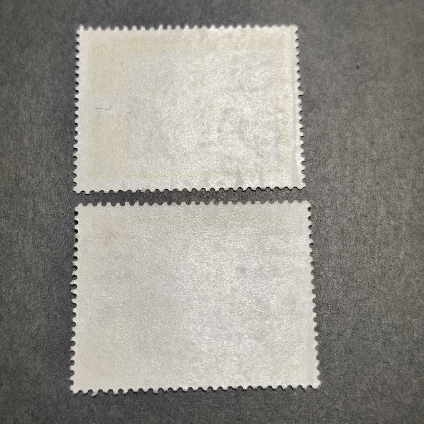洪涛臻品批发群  精选邮票限时拍卖第八十八期 亚洋邮盟 2全  原胶润亮全品新票