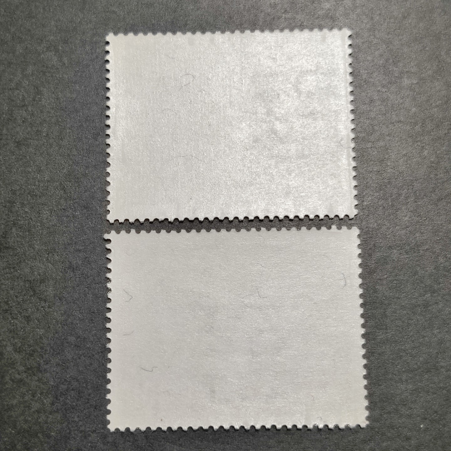 洪涛臻品批发群  精选邮票限时拍卖第八十七期 亚洋邮盟 2全新 面艳背白票挺 原胶(早期原胶就是如此)润亮 全品