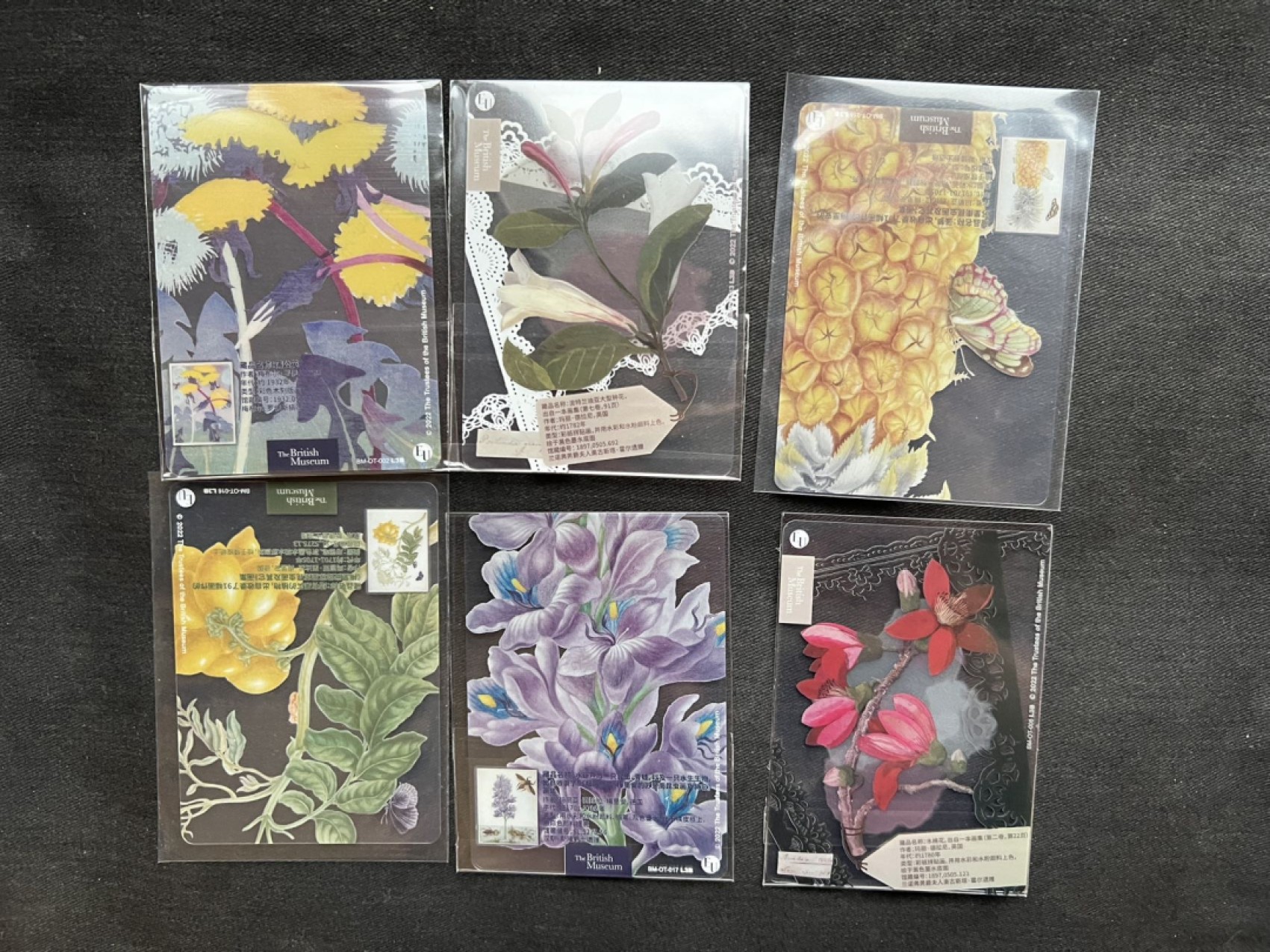 【稀奇送评】福利限时拍专场【3】【疫情原因可能延迟发货】 【卡游】博物馆系列 第一弹 乱入卡 6张 透明卡