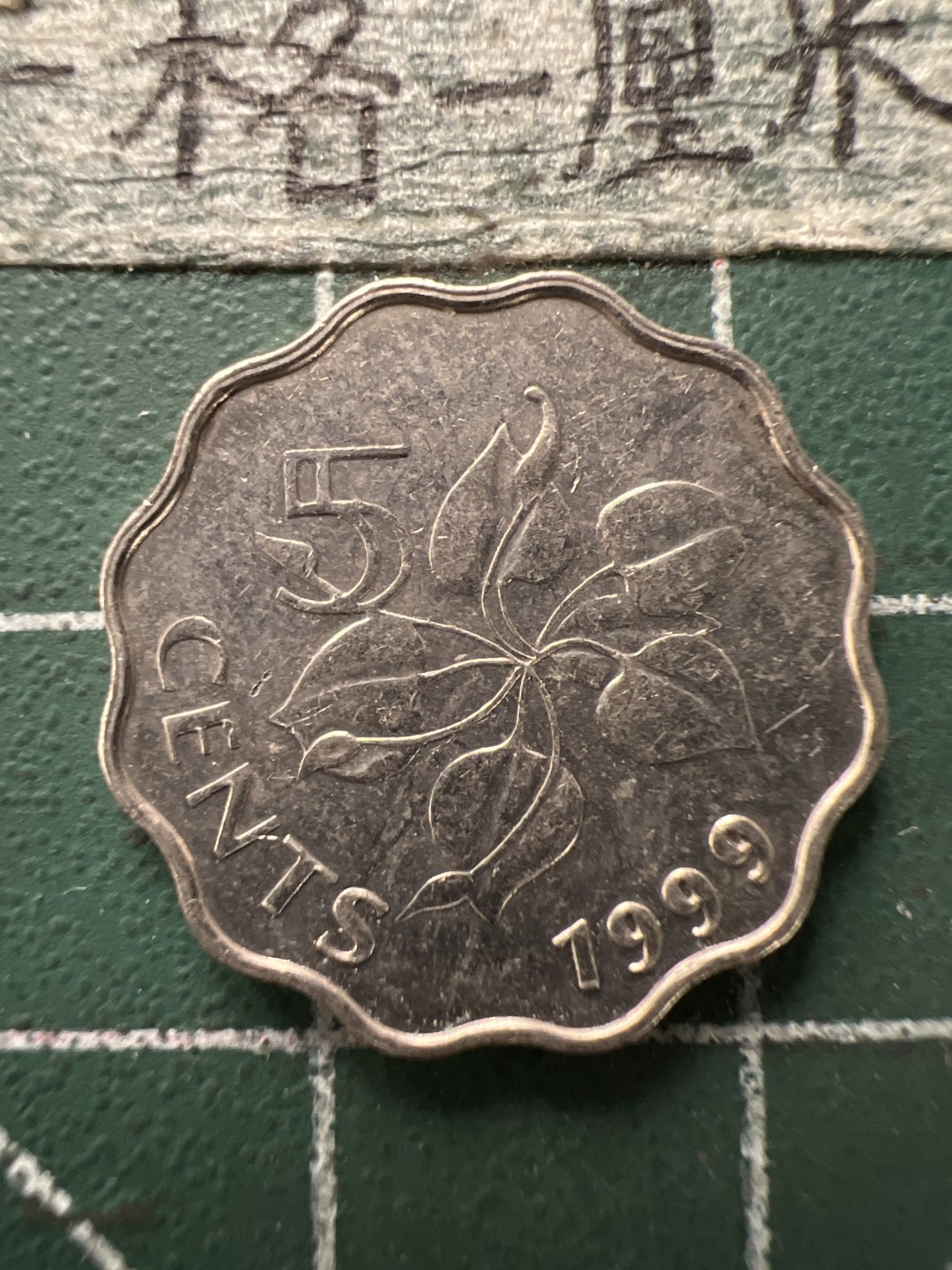 泡泡堂第166期  世界硬币明信片专场（无押金，无佣金，捡漏，全场20包邮，偏远地区除外） 斯威士兰