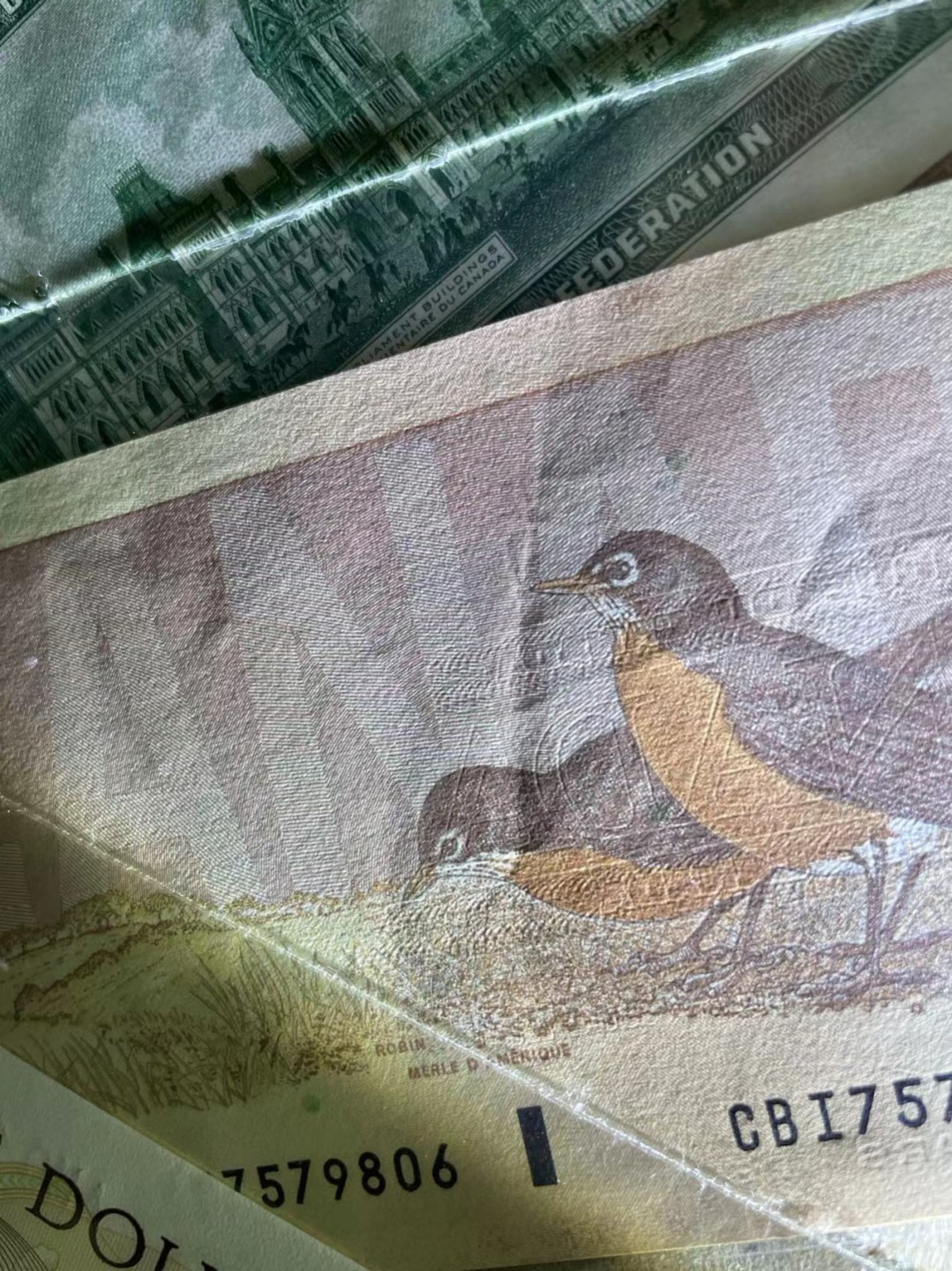 【Blue Auction】✨世界纸币精拍第252期——补号伦勃朗 【一组4张】加拿大、新西兰 女王纸币一组 除加拿大2元外全新UNC