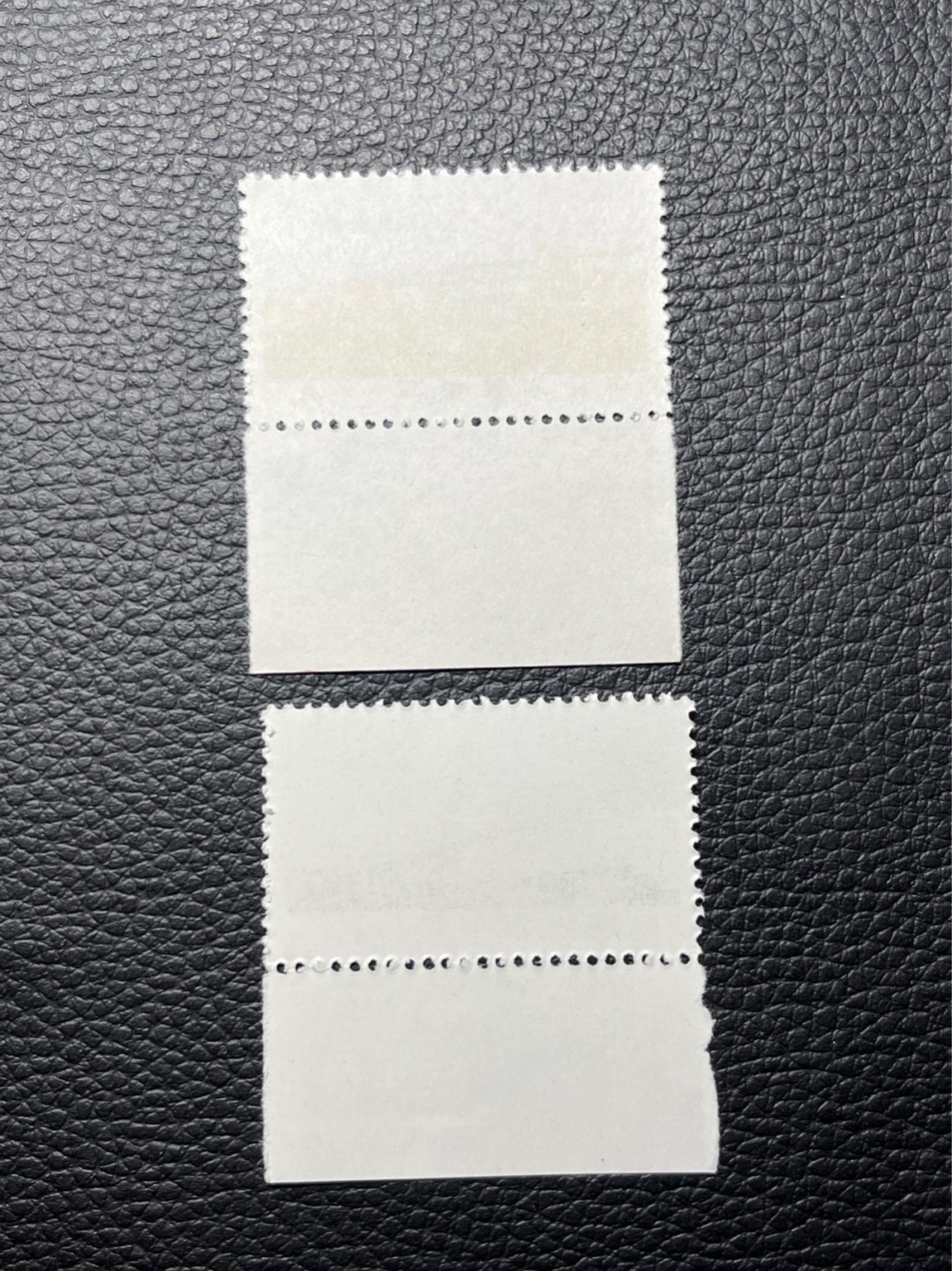 洪涛臻品批发群  精选邮票限时拍卖第九十一期 文14长江大桥  4分 +10分新  一对，版撕全品嘎嘎绝，收藏级品相，全品可评级，喜欢不要错过