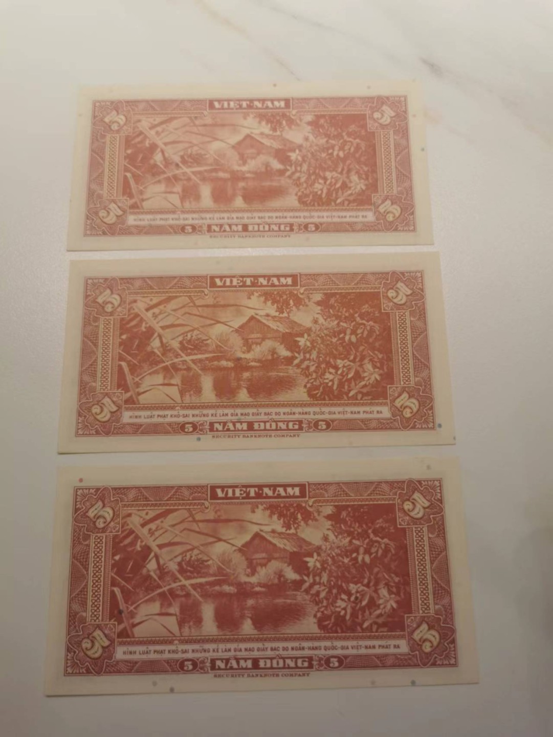 【TQG评级藏品专场拍卖】第一期★鲸贝乐淘评级代理★两拍包邮 【越南🇻🇳★极近UNC】1955年南越5盾3张，满版防伪斑点，美国保安公司印制，售出不退谨慎出价，难得好品相