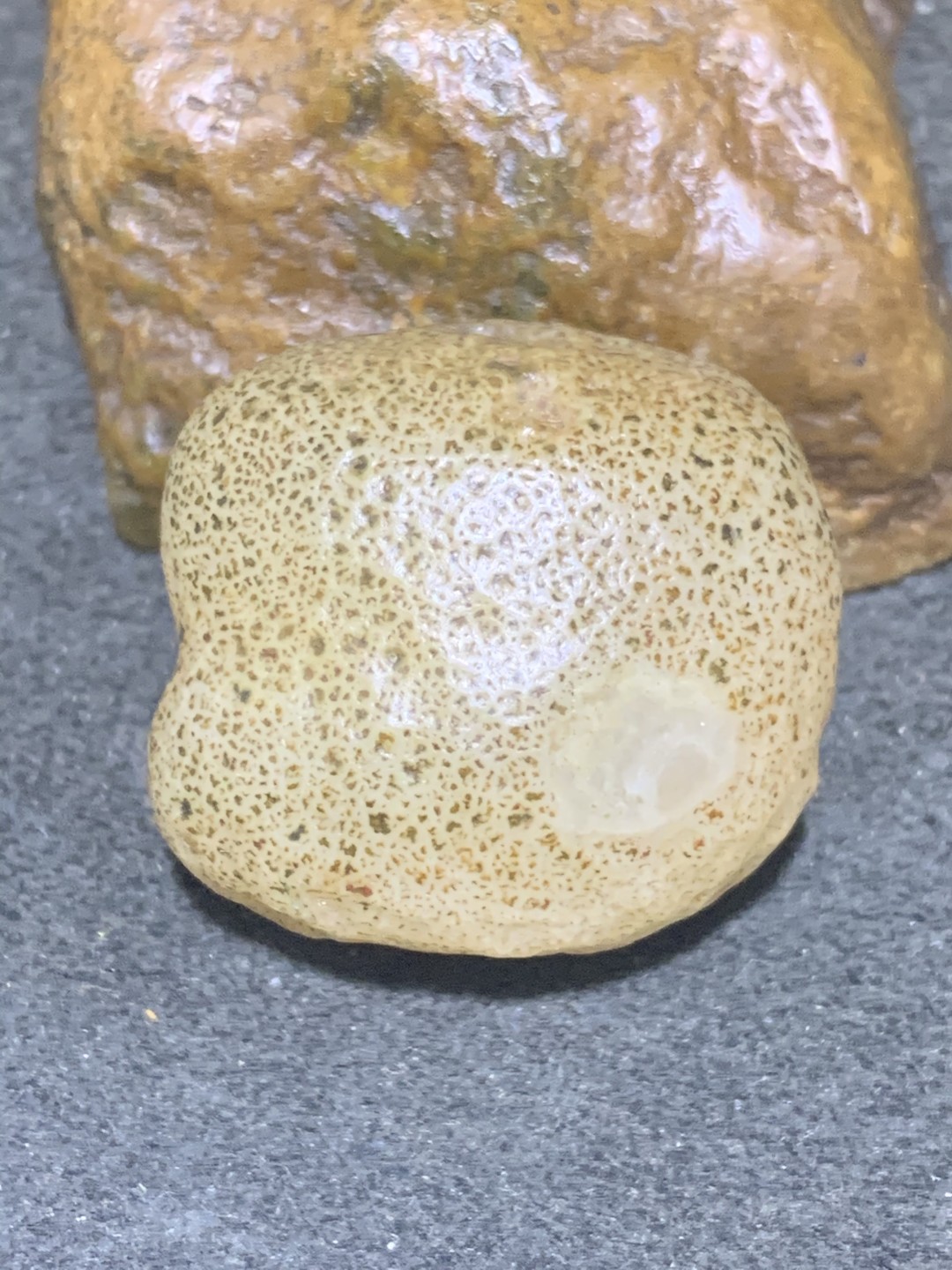 精美天然戈壁阿拉善麻皮大珠子一个，