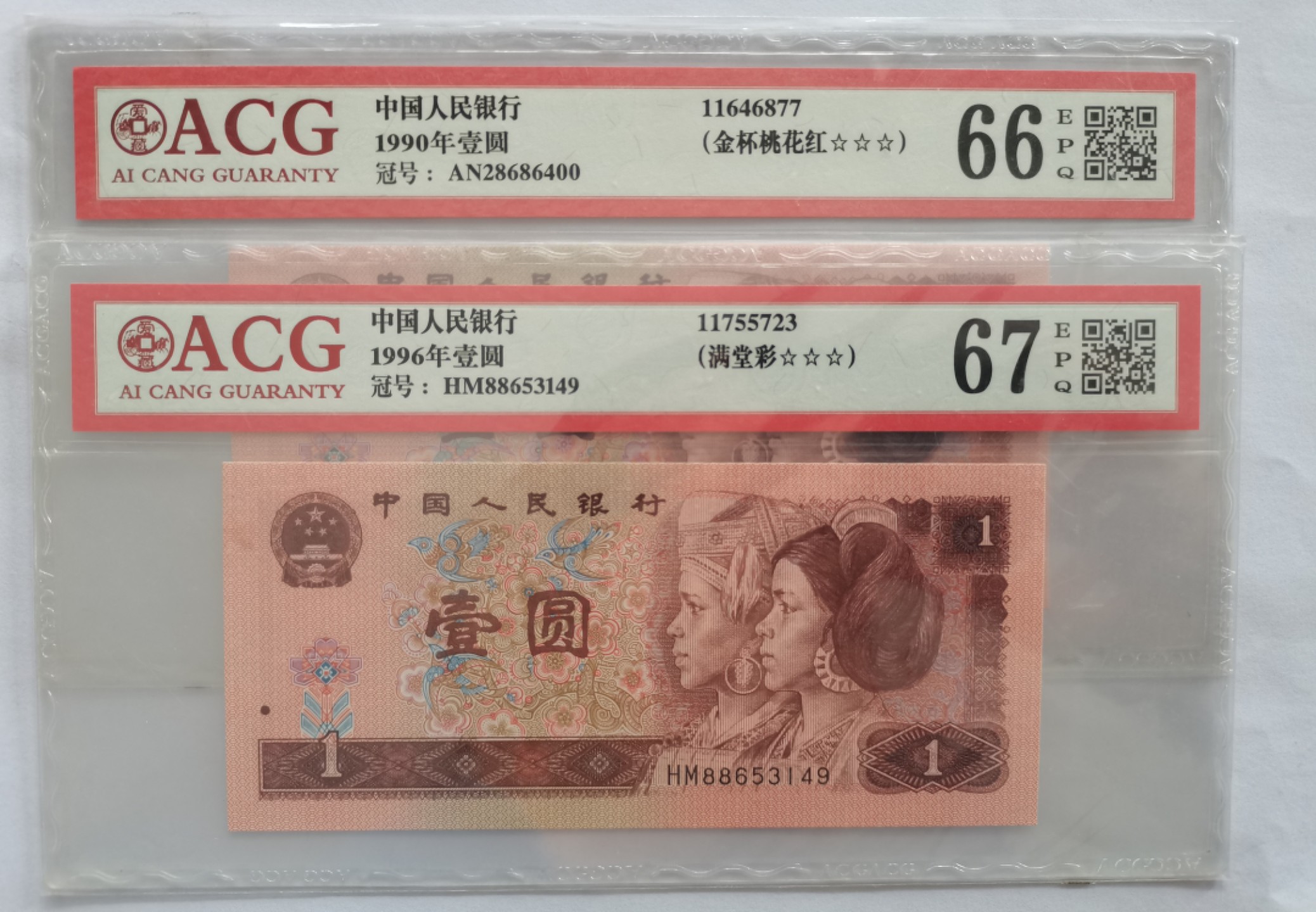 金杯桃花红