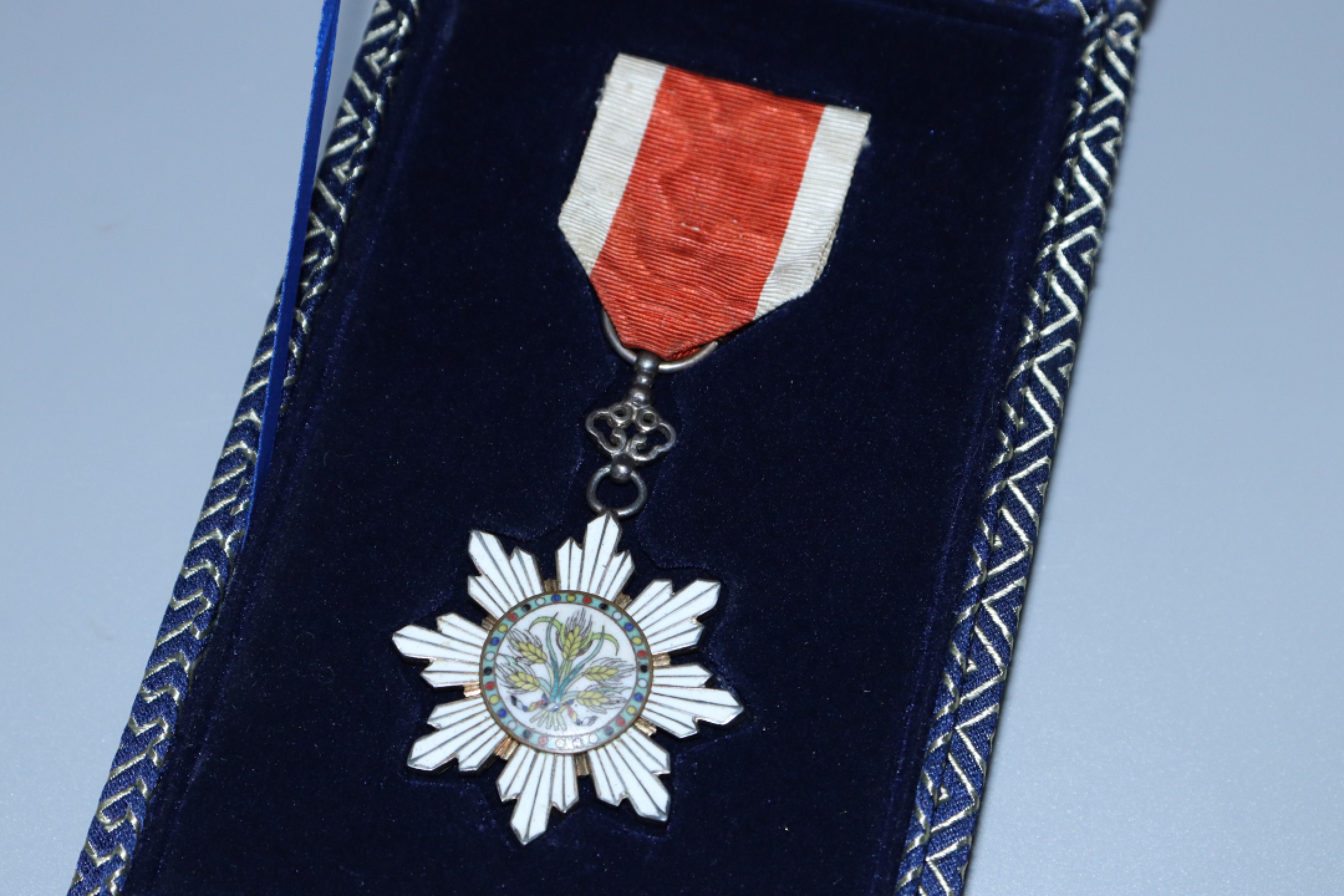 承乾国升网络专场第六期—纪念章