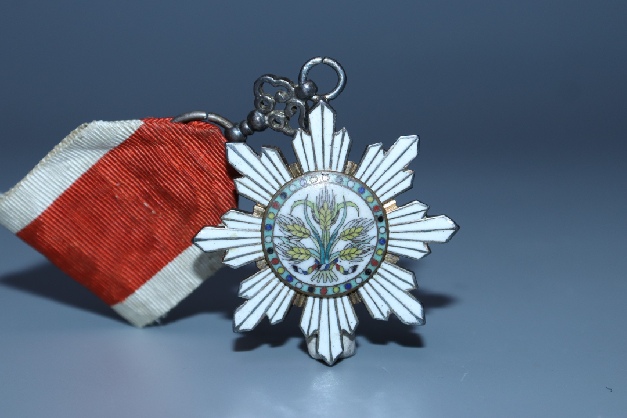 承乾国升网络专场第六期—纪念章