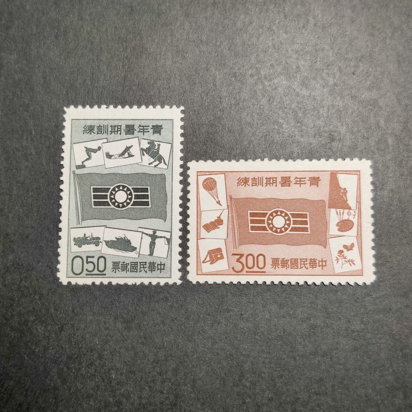 洪涛臻品批发群  精选邮票限时拍卖第八十八期 1960年 青年暑假训练 2全新 雕刻版精美 草纸票天生无胶 微裂