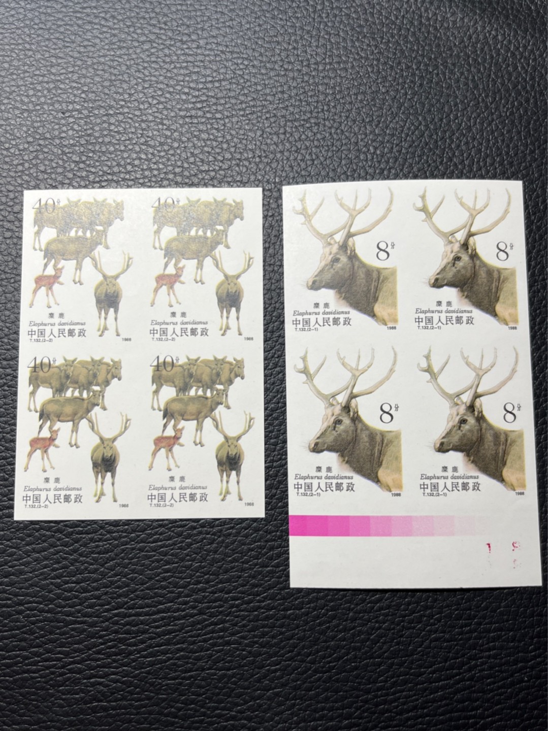 洪涛臻品批发群  精选邮票限时拍卖第九十期 T132无齿麋鹿新全    色标数字四方连一组 ，软折如图，上品，紫光灯下有瑕疵。精品版货  精工细裁 ，全程带硅胶手套操作，喜欢的老板不要错过