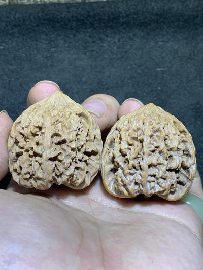 仅此一对，百花山狮子头文玩核桃麻核桃一对！ - 仅此一对，百花山狮子头文玩核桃麻核桃一对！