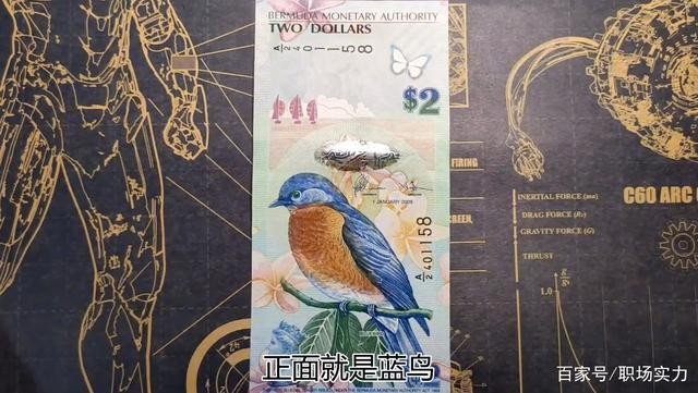 北极狼限时精品（34） 0236-百幕大蓝鸟币·A/1190870·华龙盛世评级70EPQ