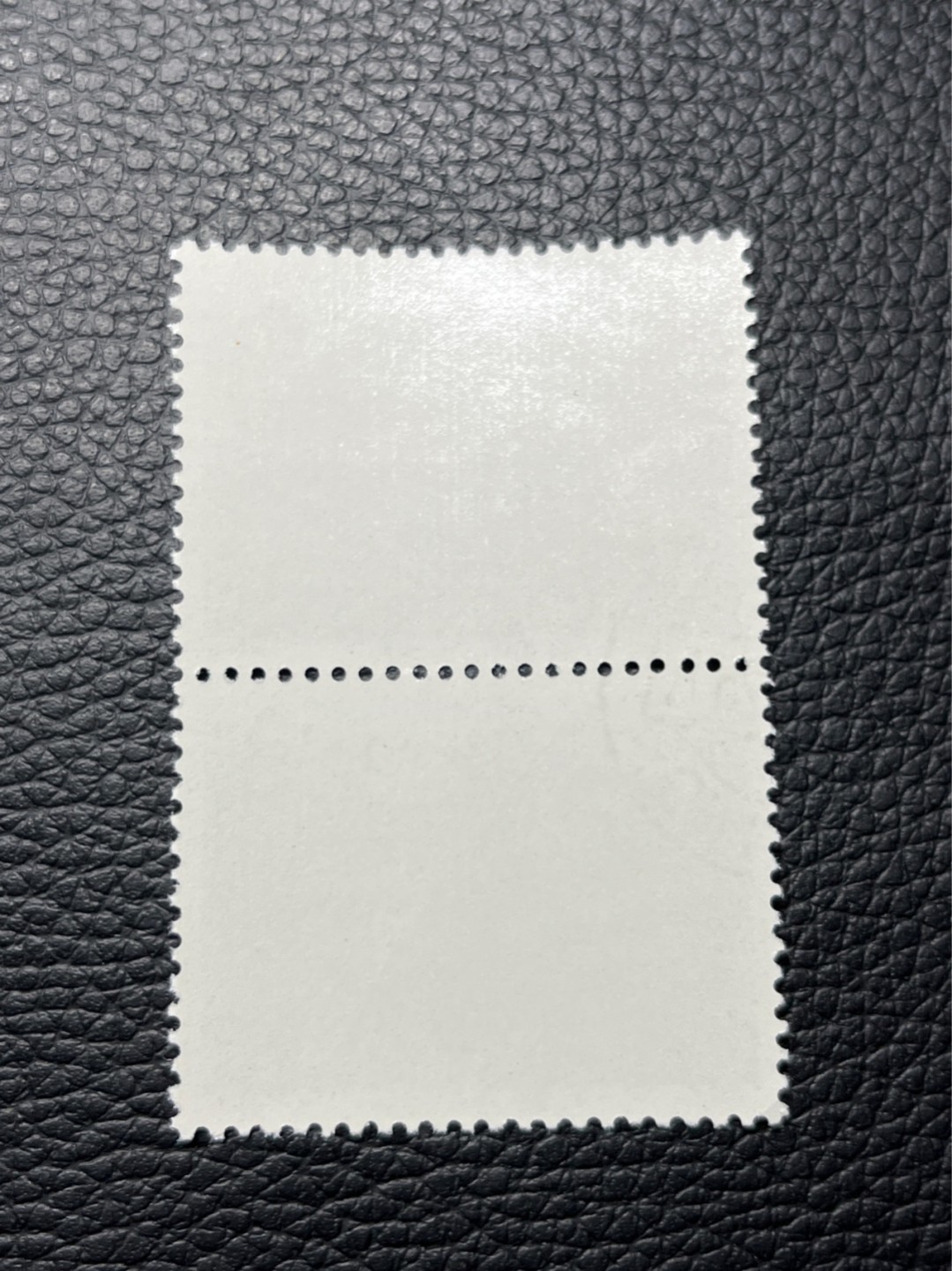 洪涛臻品批发群  精选邮票限时拍卖第一百二十一期 热门品种，特73井冈山  盖销  8-4 2连带边纸，白胶润到流油。老纪特三俗稀缺，经典热门票，版撕全品嘎嘎绝，撕口新，适合收藏，喜欢不要错过，全品可评级