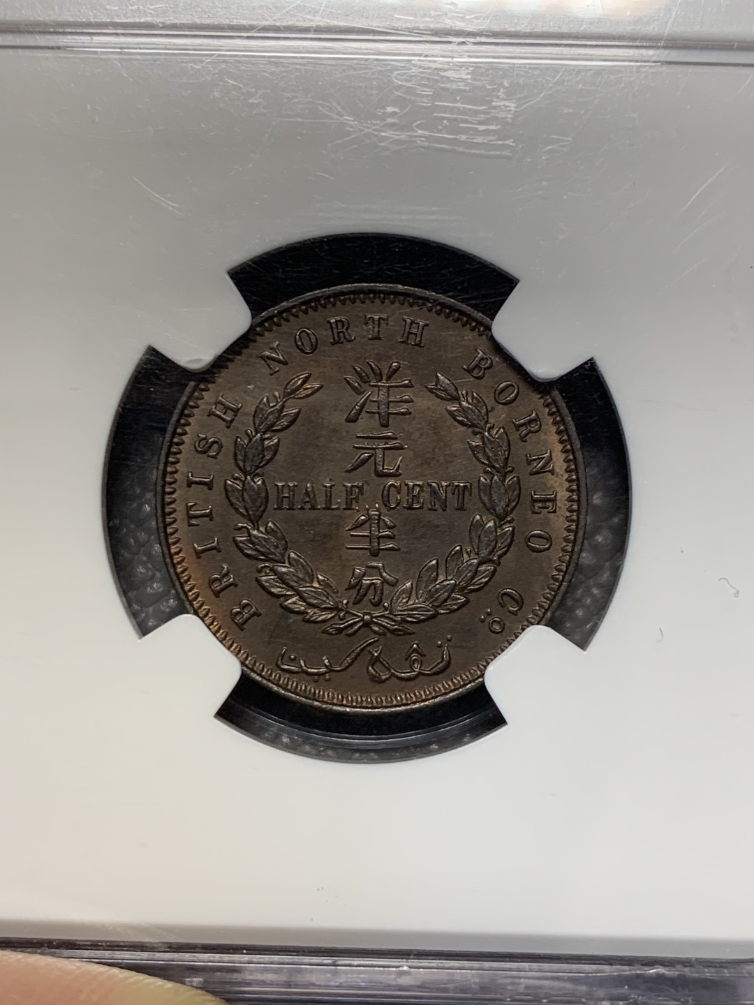 《竞宝斋》第118场-周日，周一 ，2场连拍（全场包邮） NGC-MS63BN 老标 婆罗洲 1891年 洋元半分 狮子五官清晰 漂亮原光铜币！稀缺品种