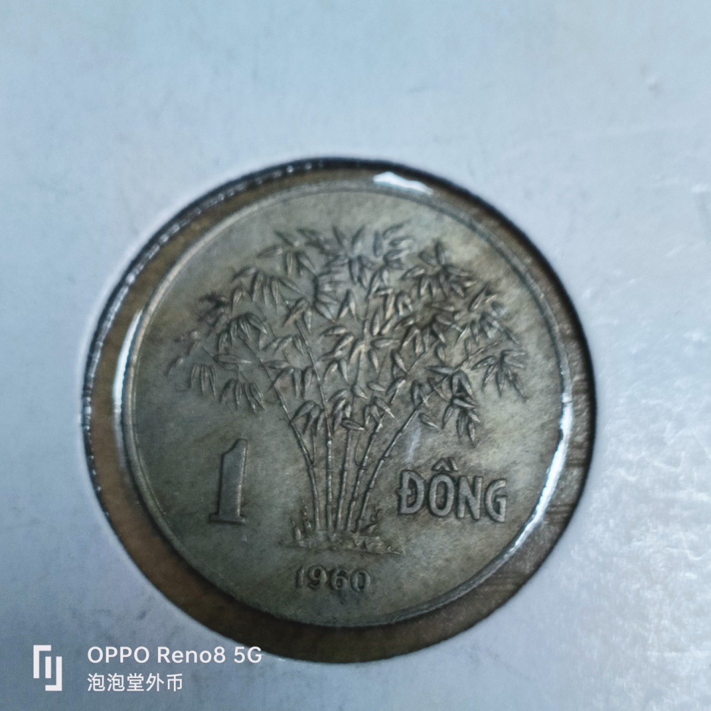 泡泡堂微拍第三十三幕精品硬币捡漏专场👿👿，零佣金，零押金，累计满二十元包邮 南越60年一盾